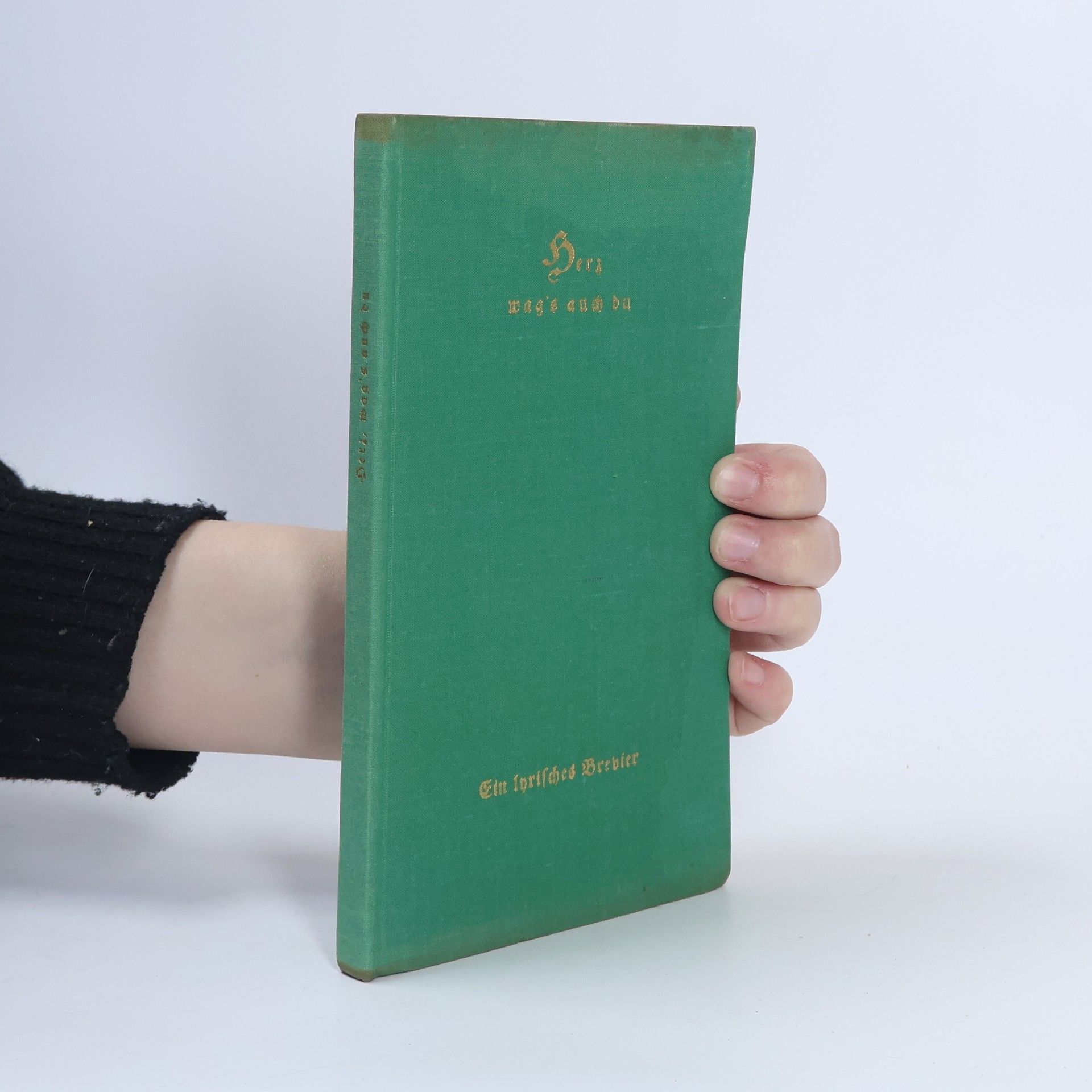 Kolektív autorov Herz, wag's auch du