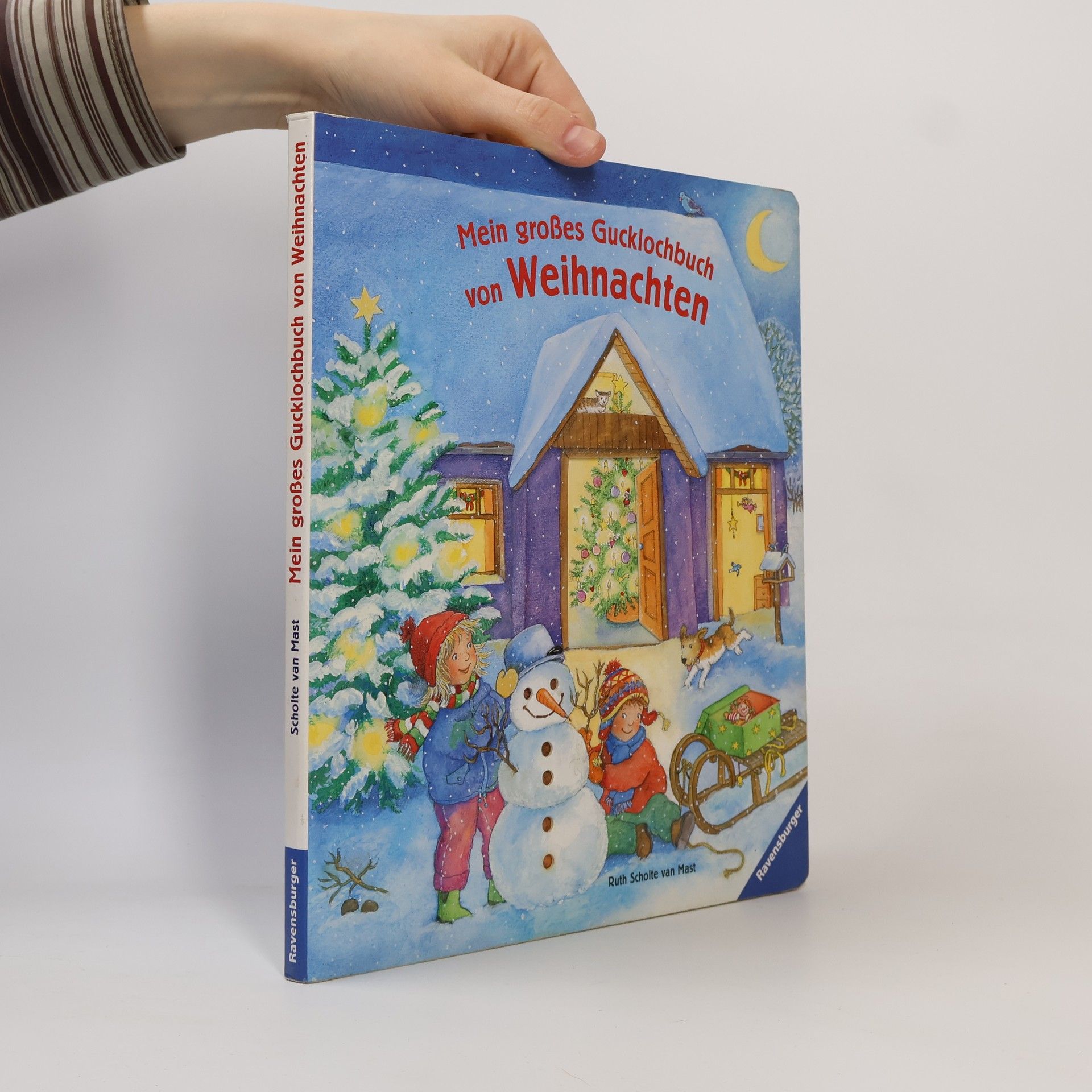 Ruth Wessels Mein grosses Gucklochbuch von Weihnachten