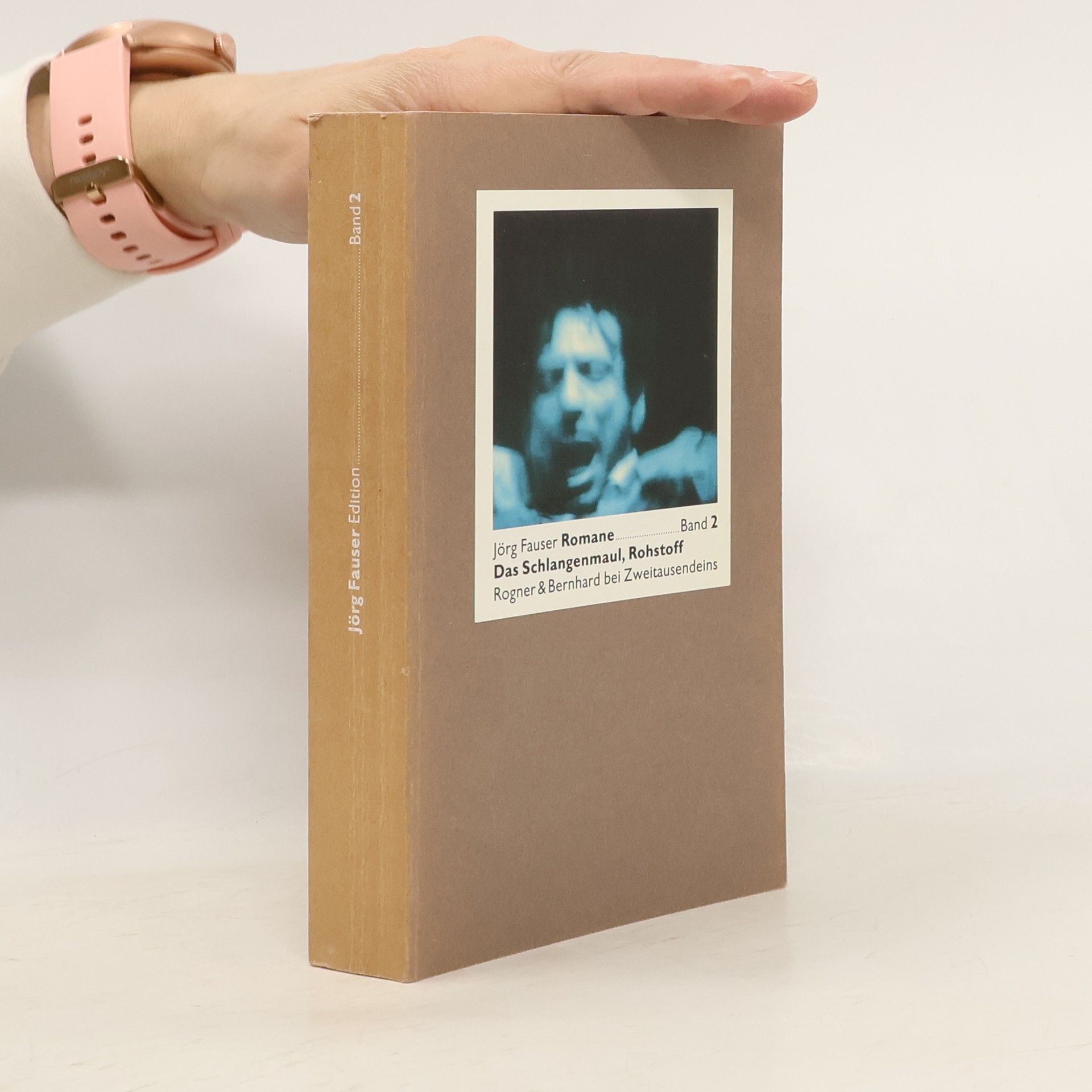 Jörg Fauser Jörg Fauser Edition - 2: Romane: Das Schlangenmaul; Rohstoff