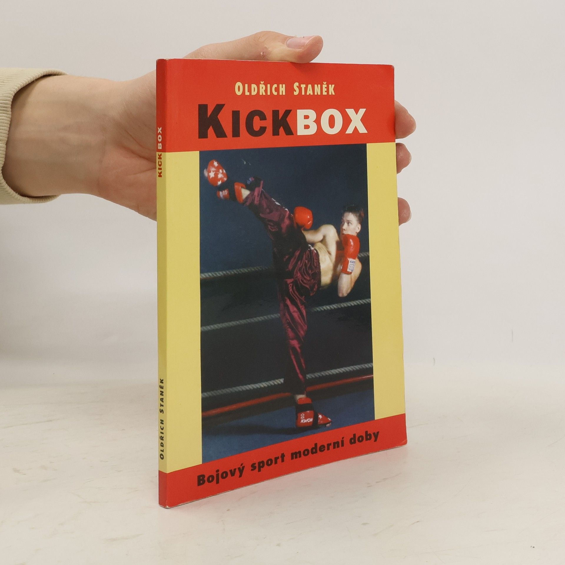 Oldřich Staněk Kick-box