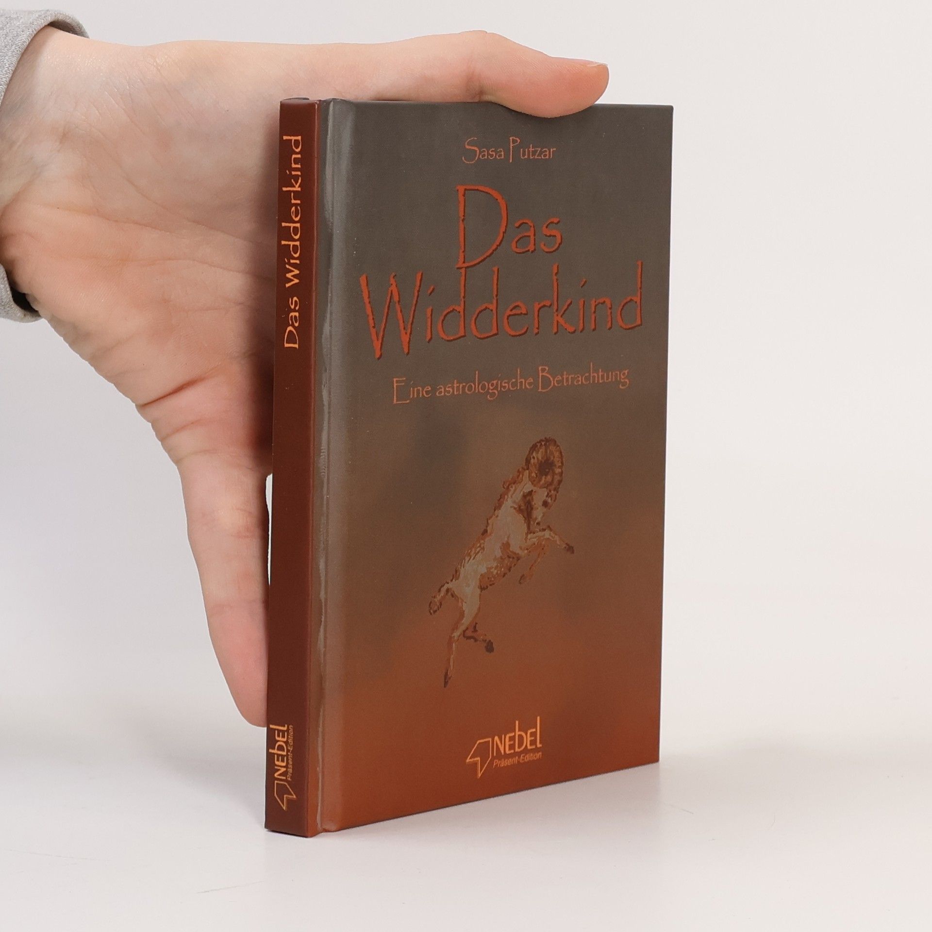 Mario Puzo Der Sizilianer