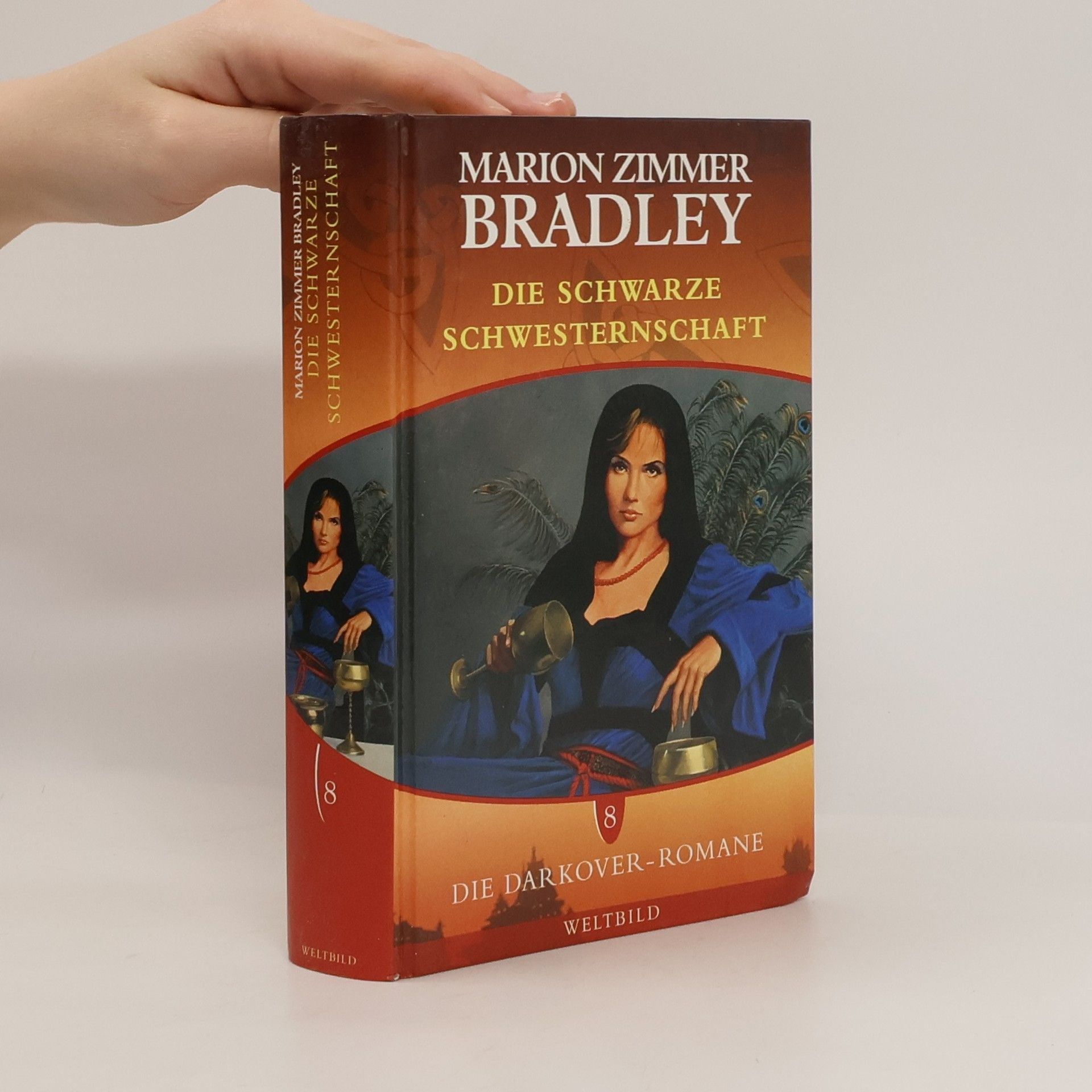 Marion Zimmer Bradley Die Darkover-Romane 8. Die schwarze Schwesternschaft