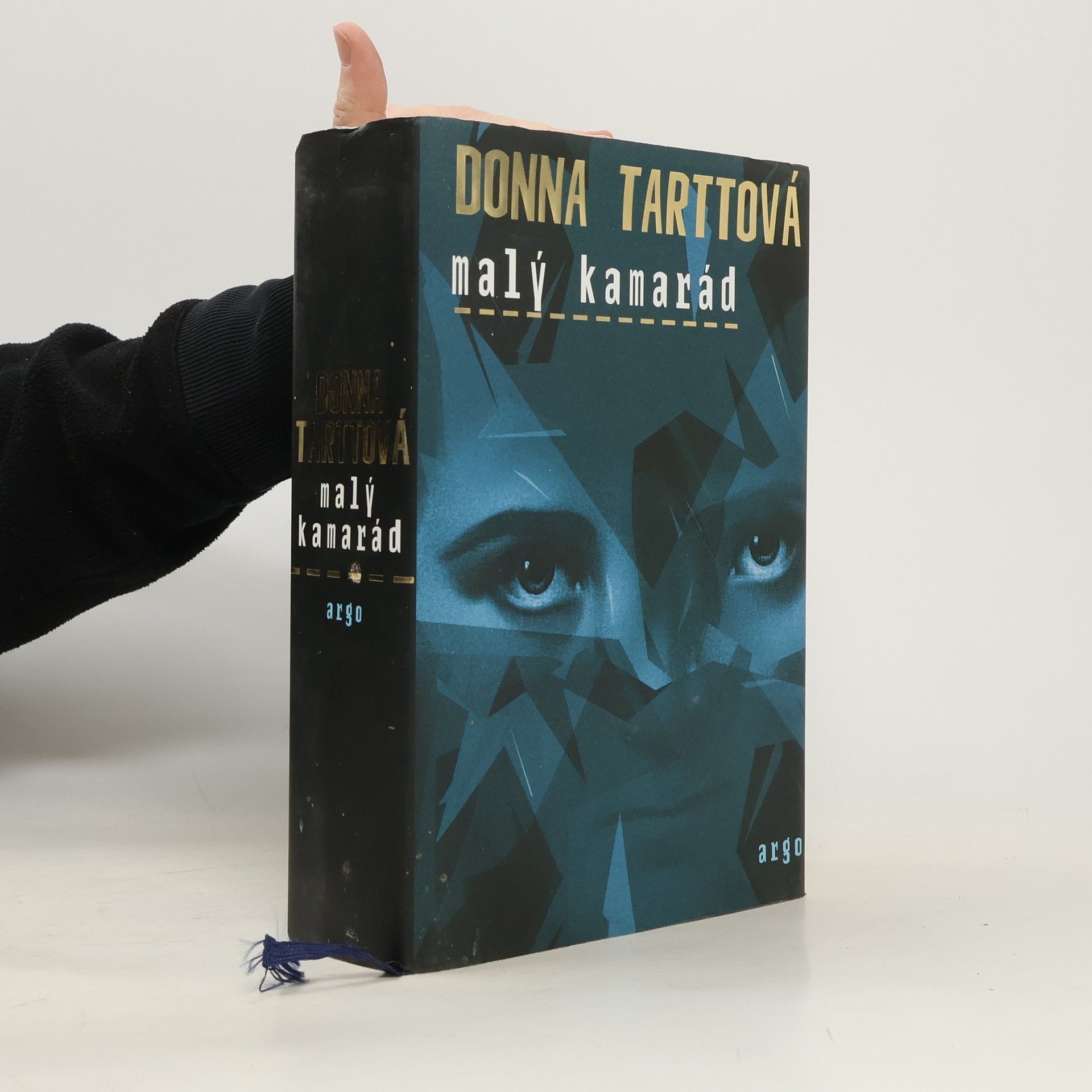 Donna Tarttová Malý kamarád