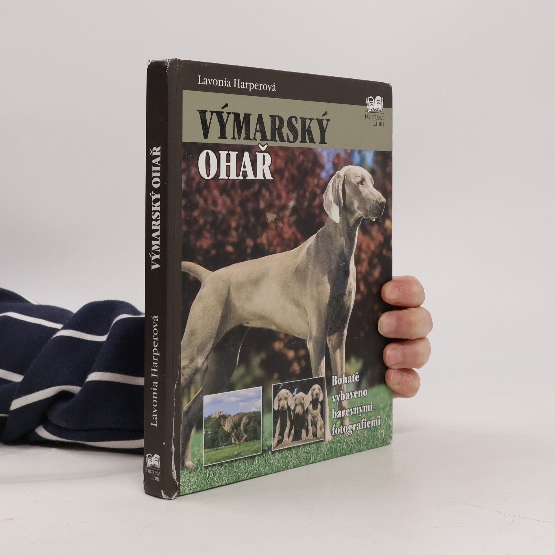 Lavonia Harper Výmarský ohař