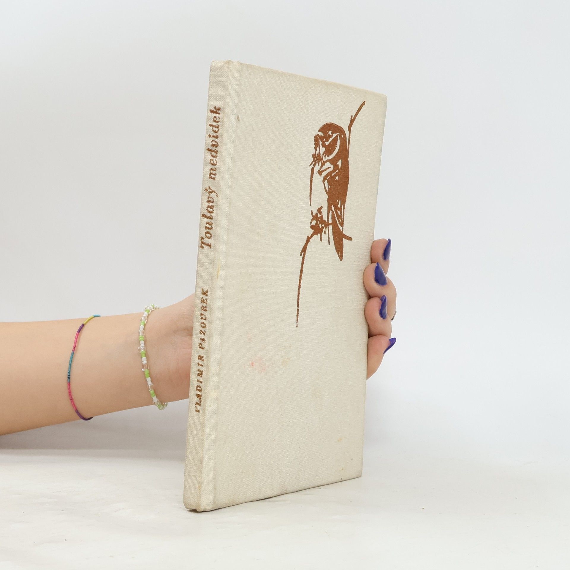 Vladimír Pazourek Toulavý medvídek