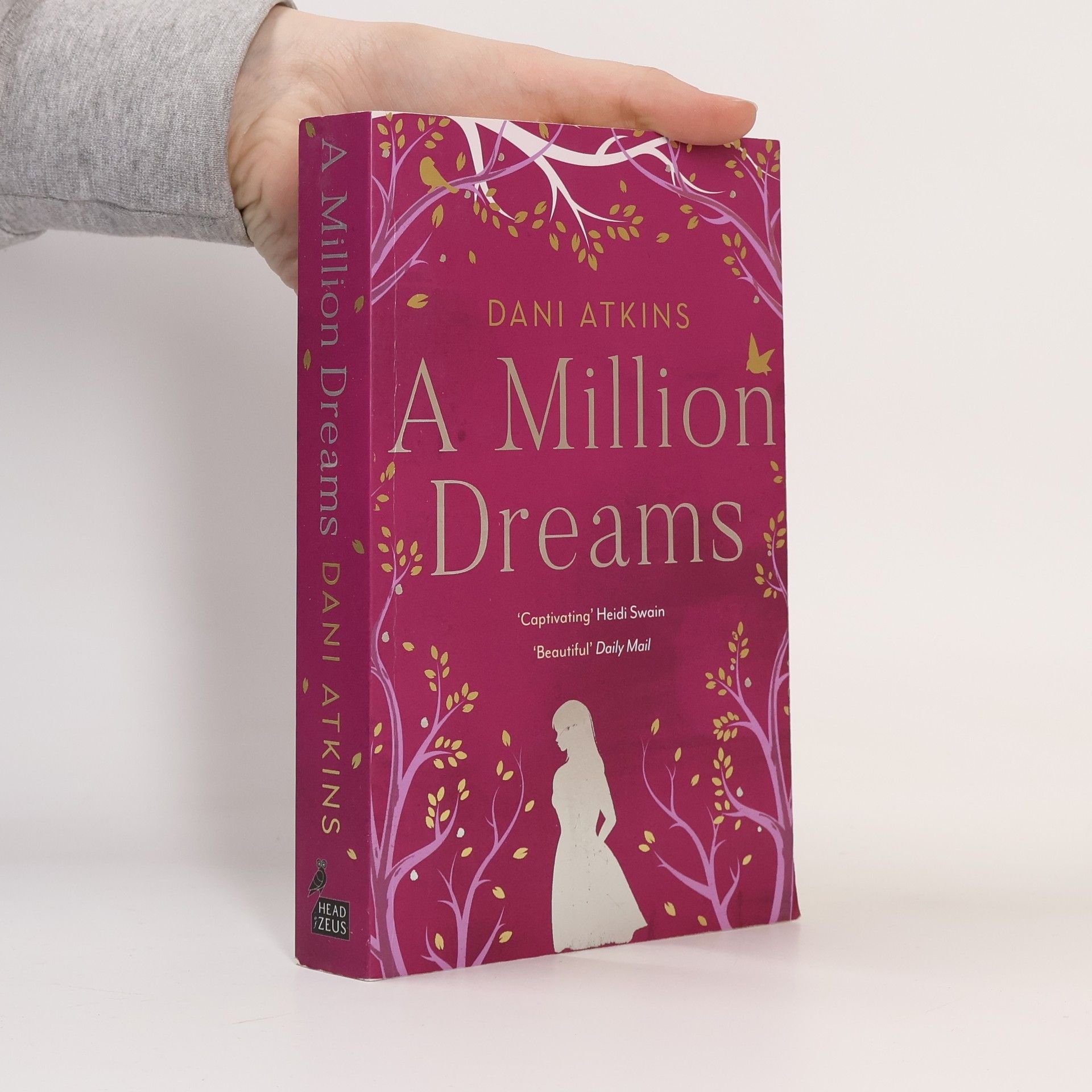 Dani Atkins A Million Dreams