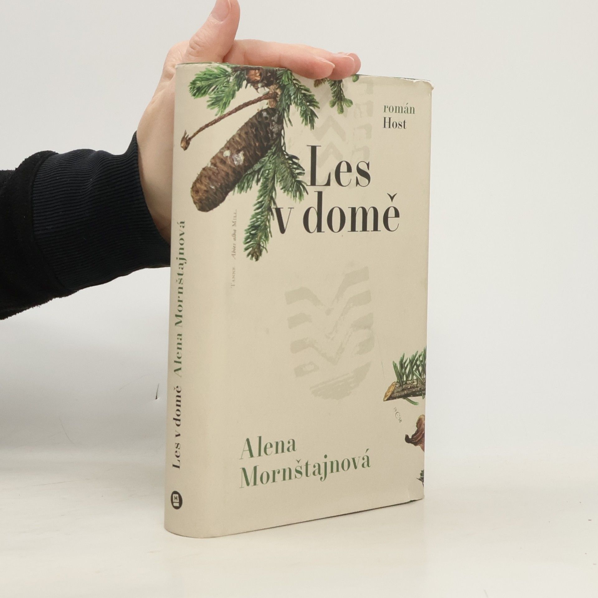 Alena Mornštajnová Les v domě