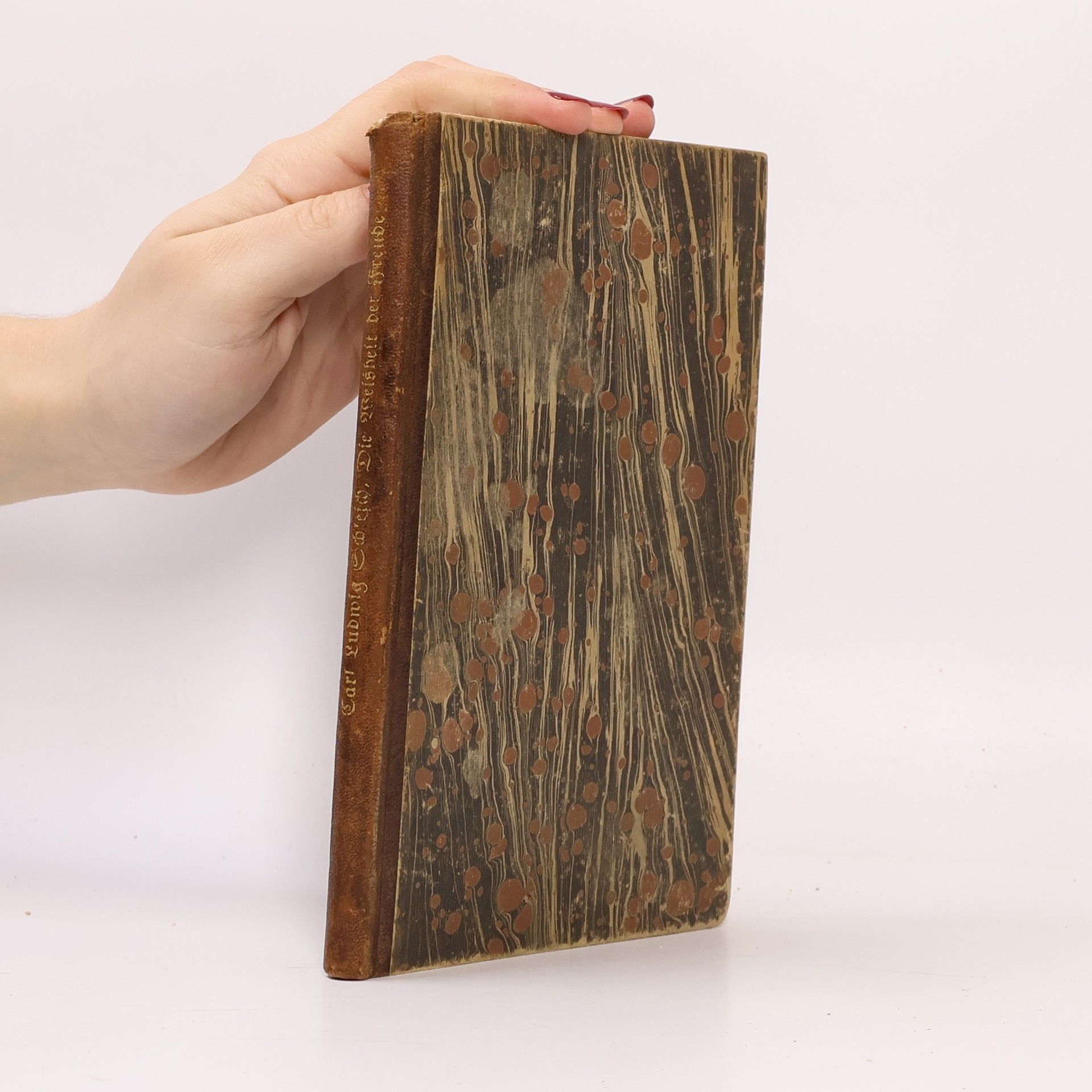 Carl Ludwig Schleich Die Weisheit der Freude