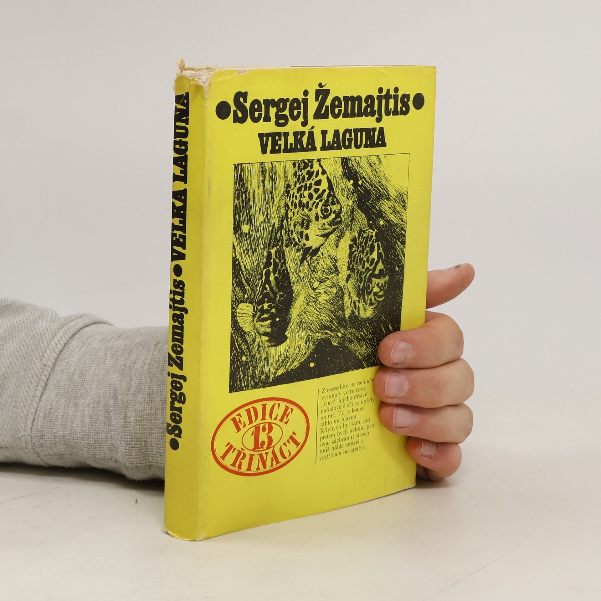 Sergej Georgijevič Žemajtis Velká laguna