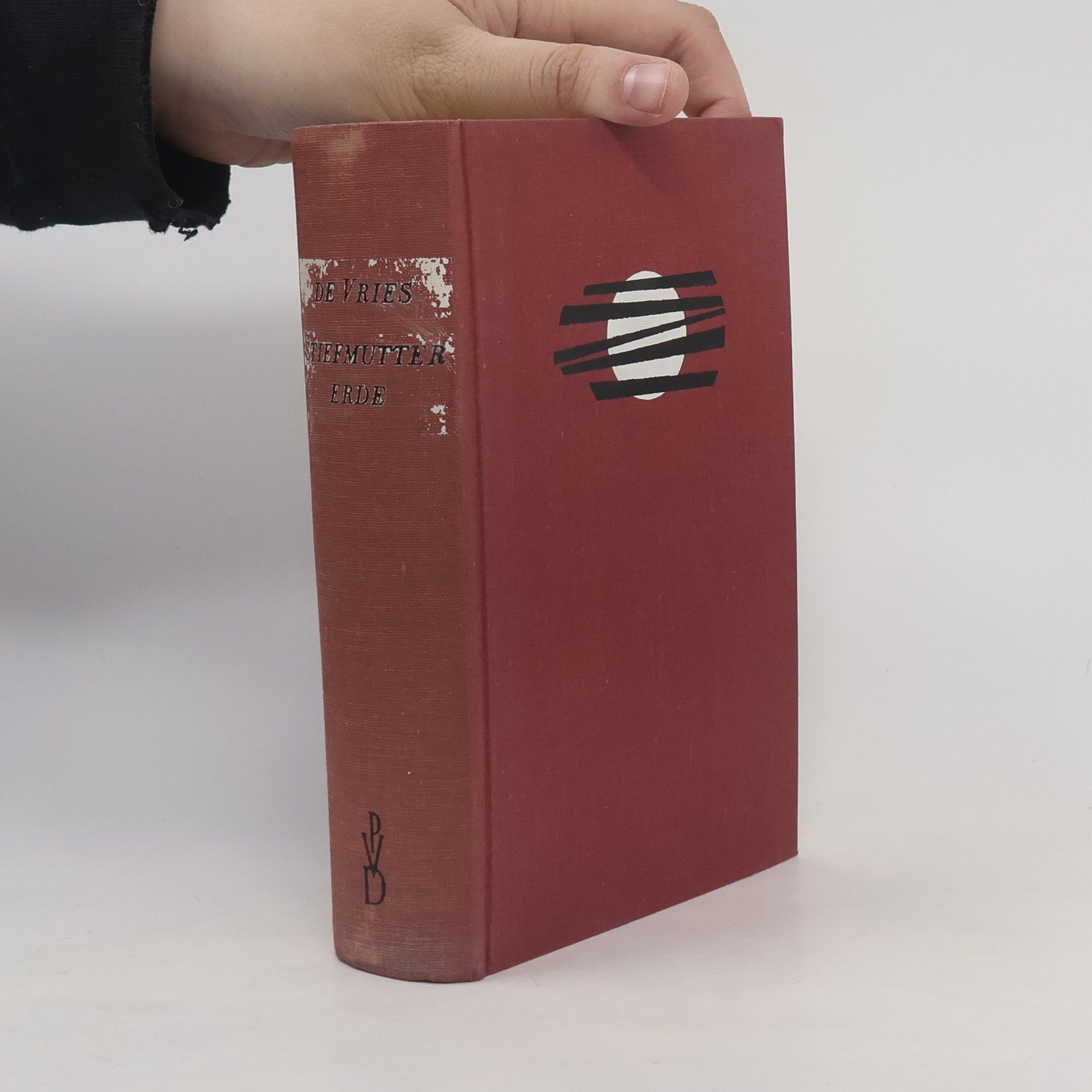 Theun de Vries Stiefmutter Erde