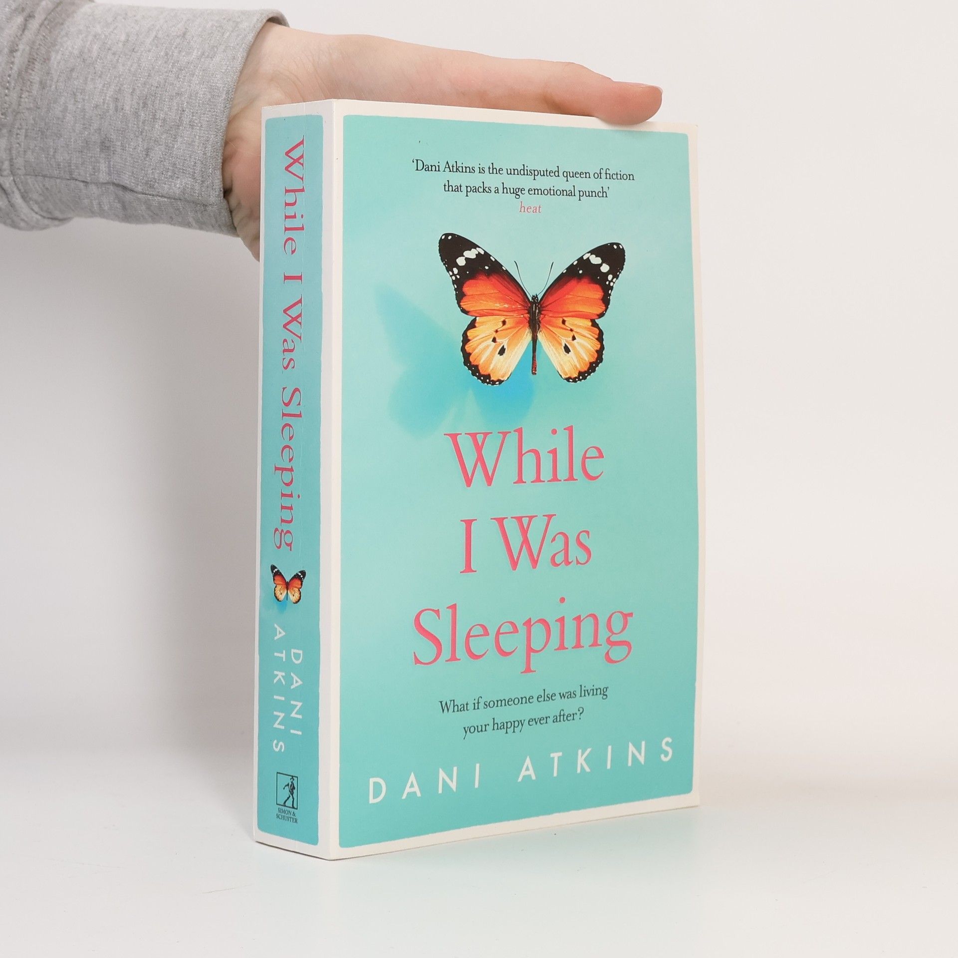 Dani Atkins While I Was Sleeping