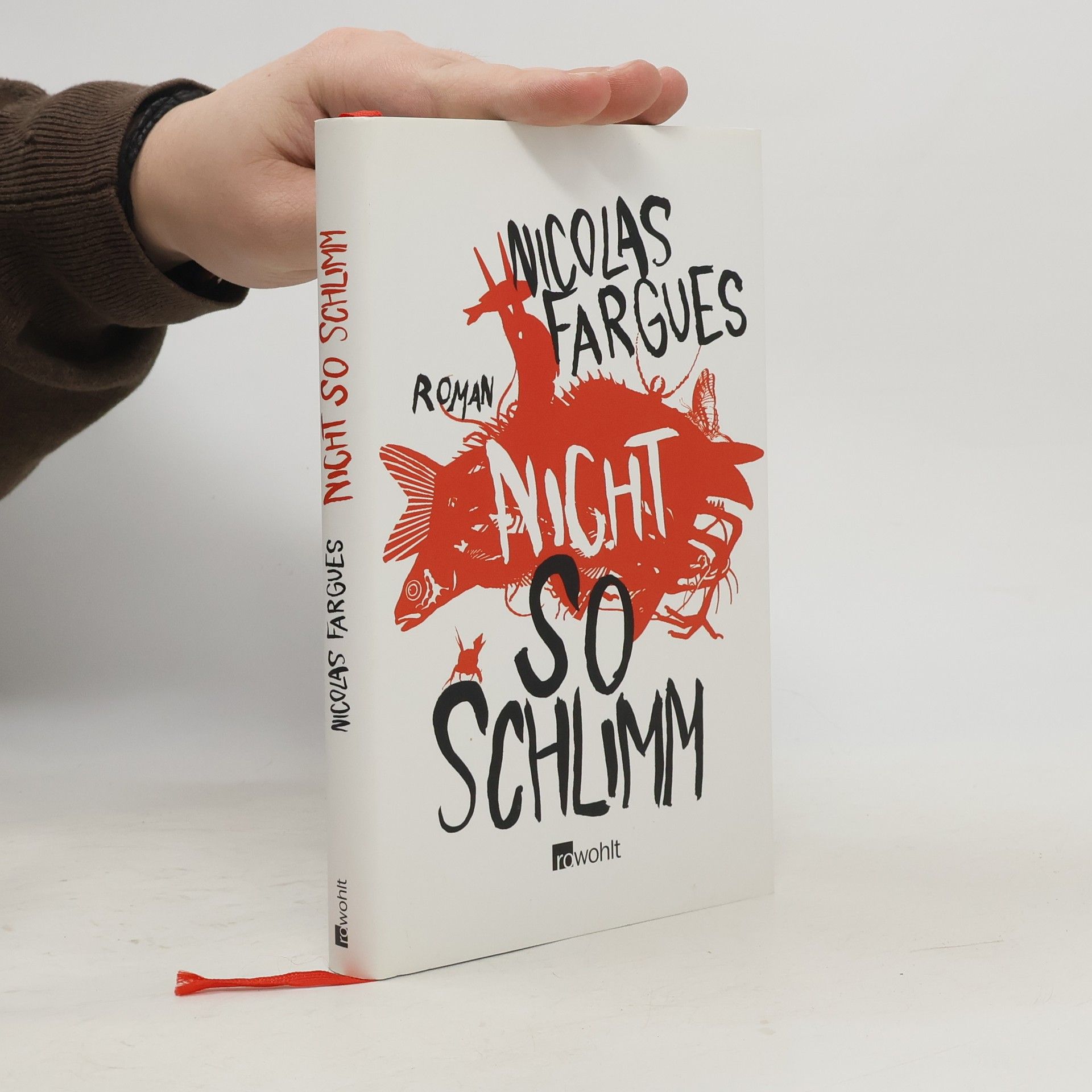 Nicolas Fargues Nicht so schlimm