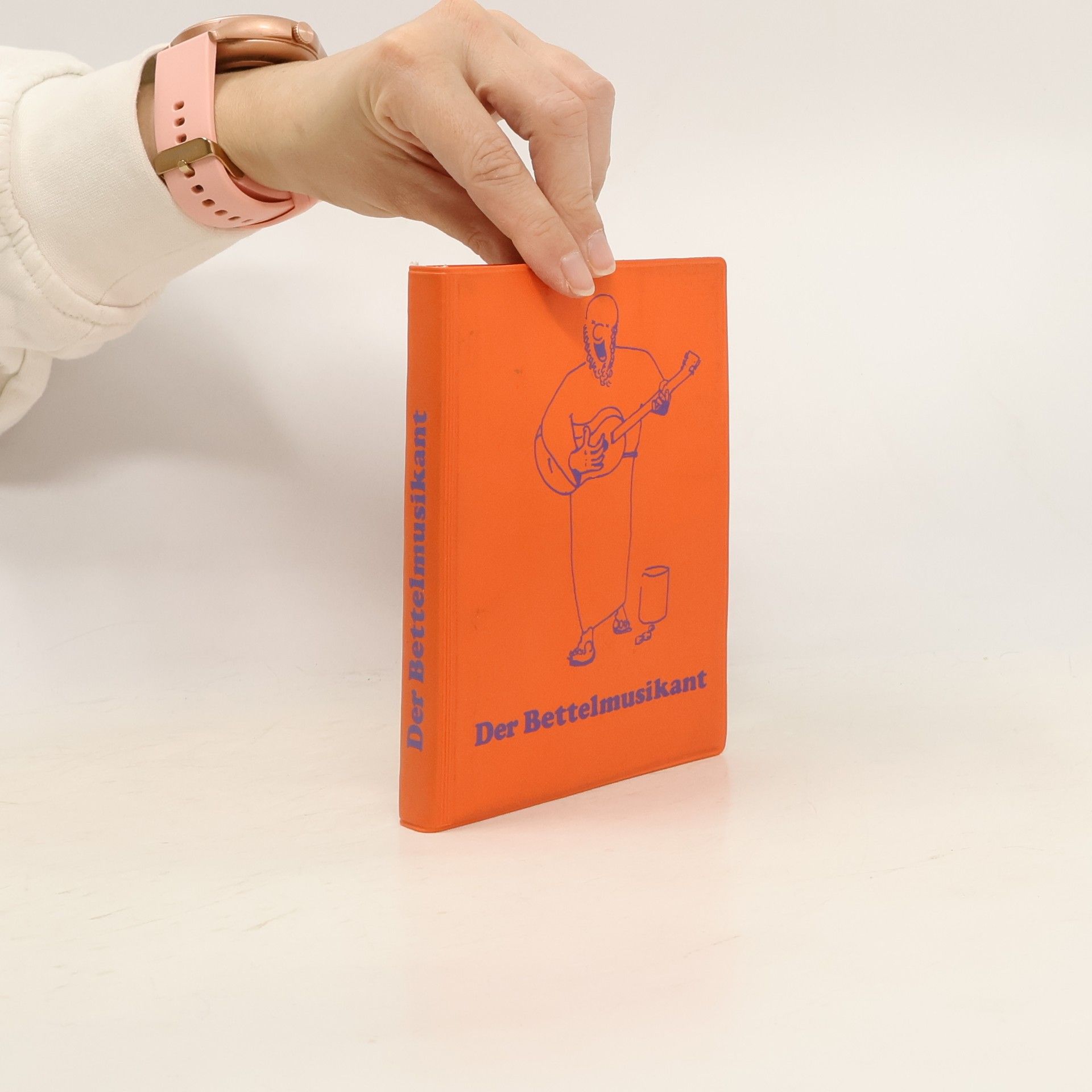 Reinhold Brumberger Der Bettelmusikant. Liederbuch von Franziskanermönchen verfasst