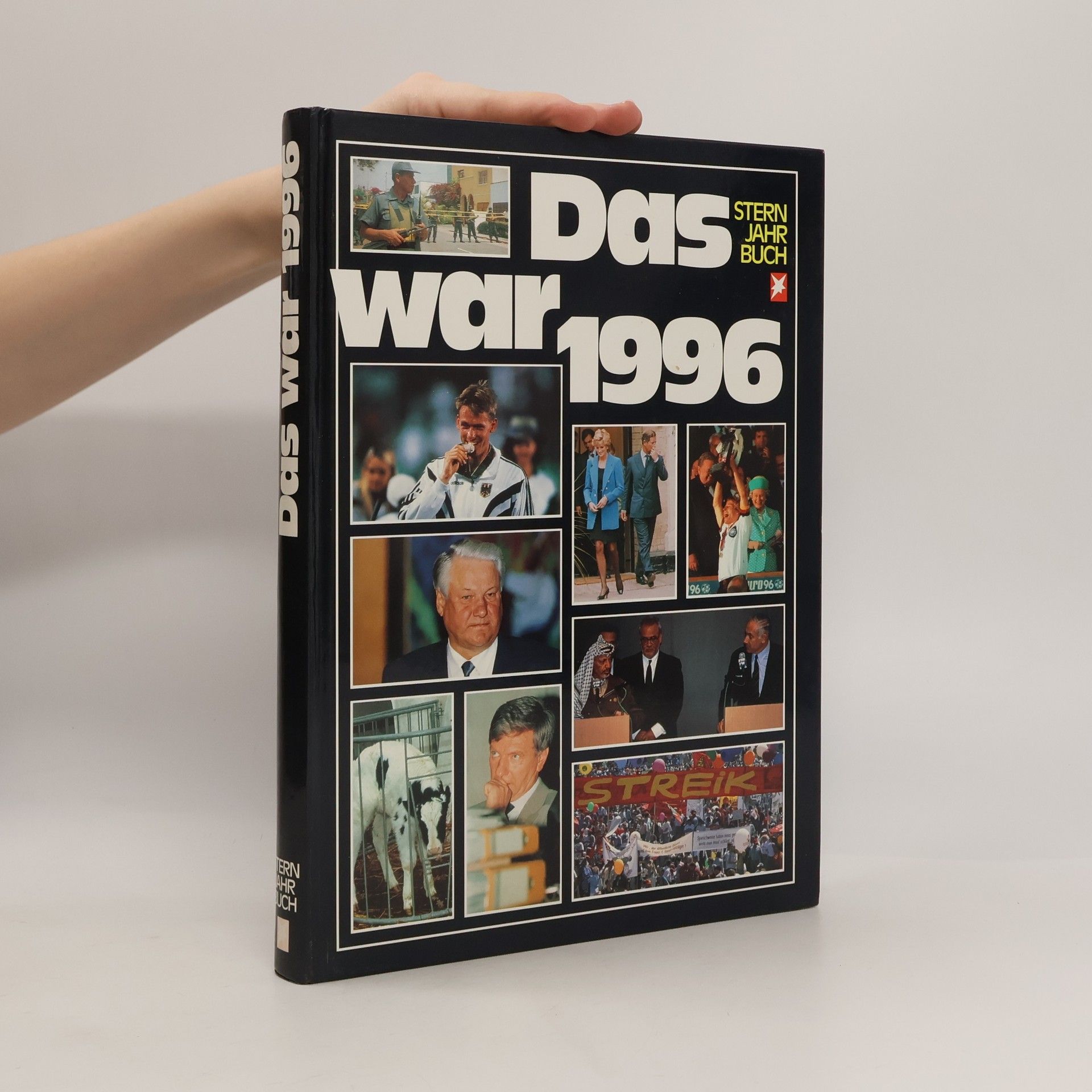 Kolektiv autorů Das war 1996