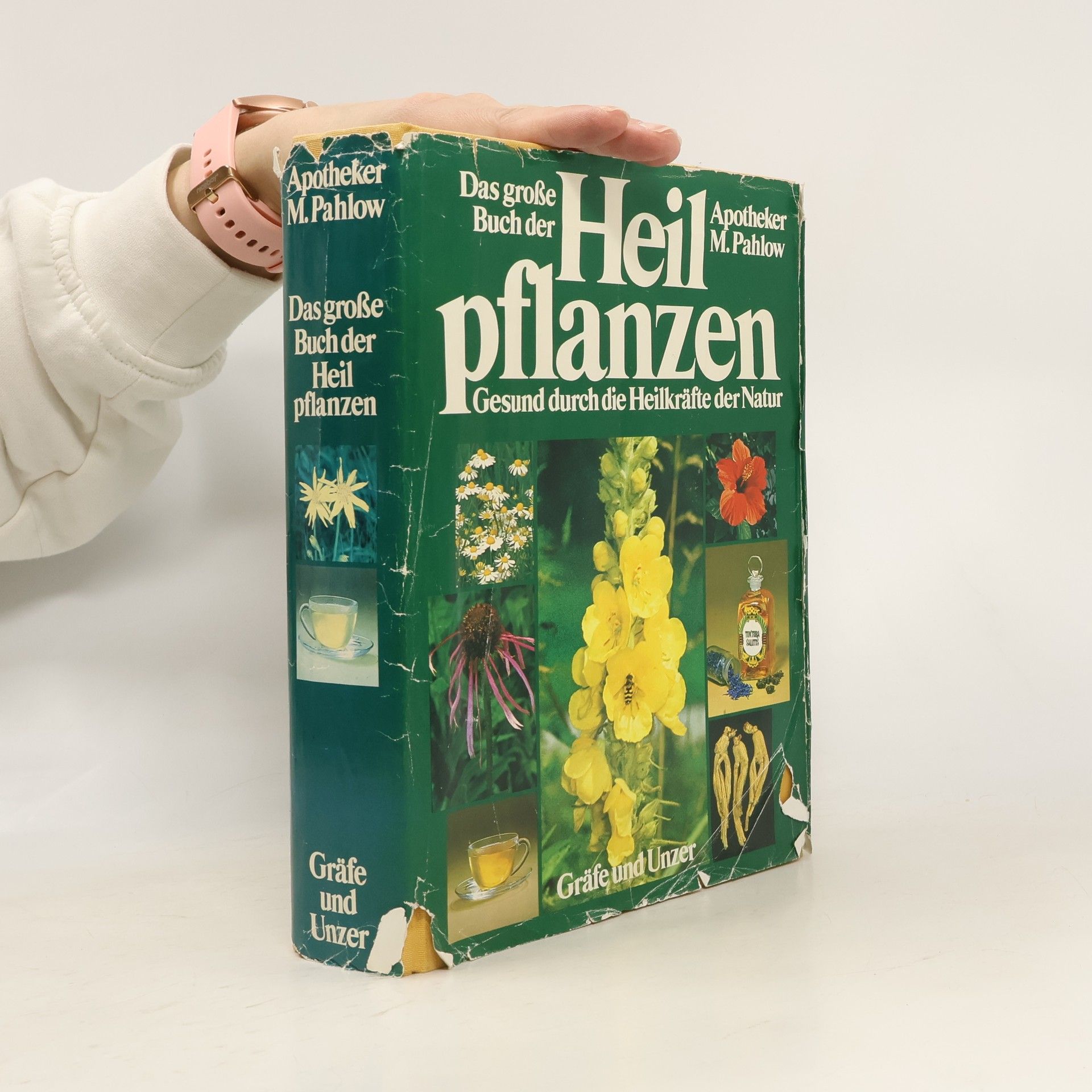 Mannfried Pahlow Das grosse Buch der Heilpflanzen