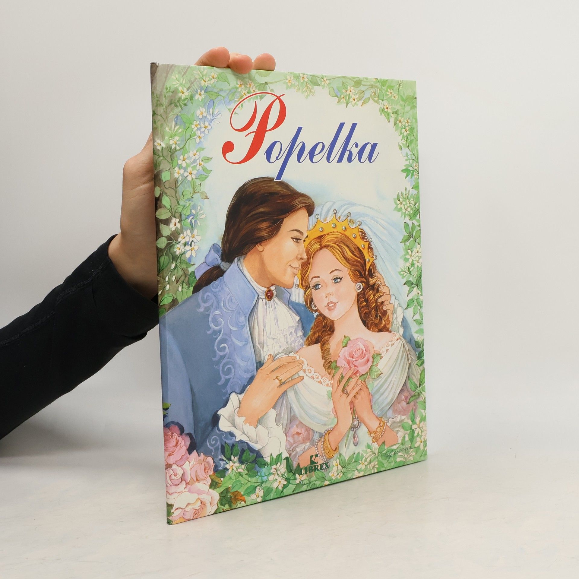 Kolektiv autorů Popelka