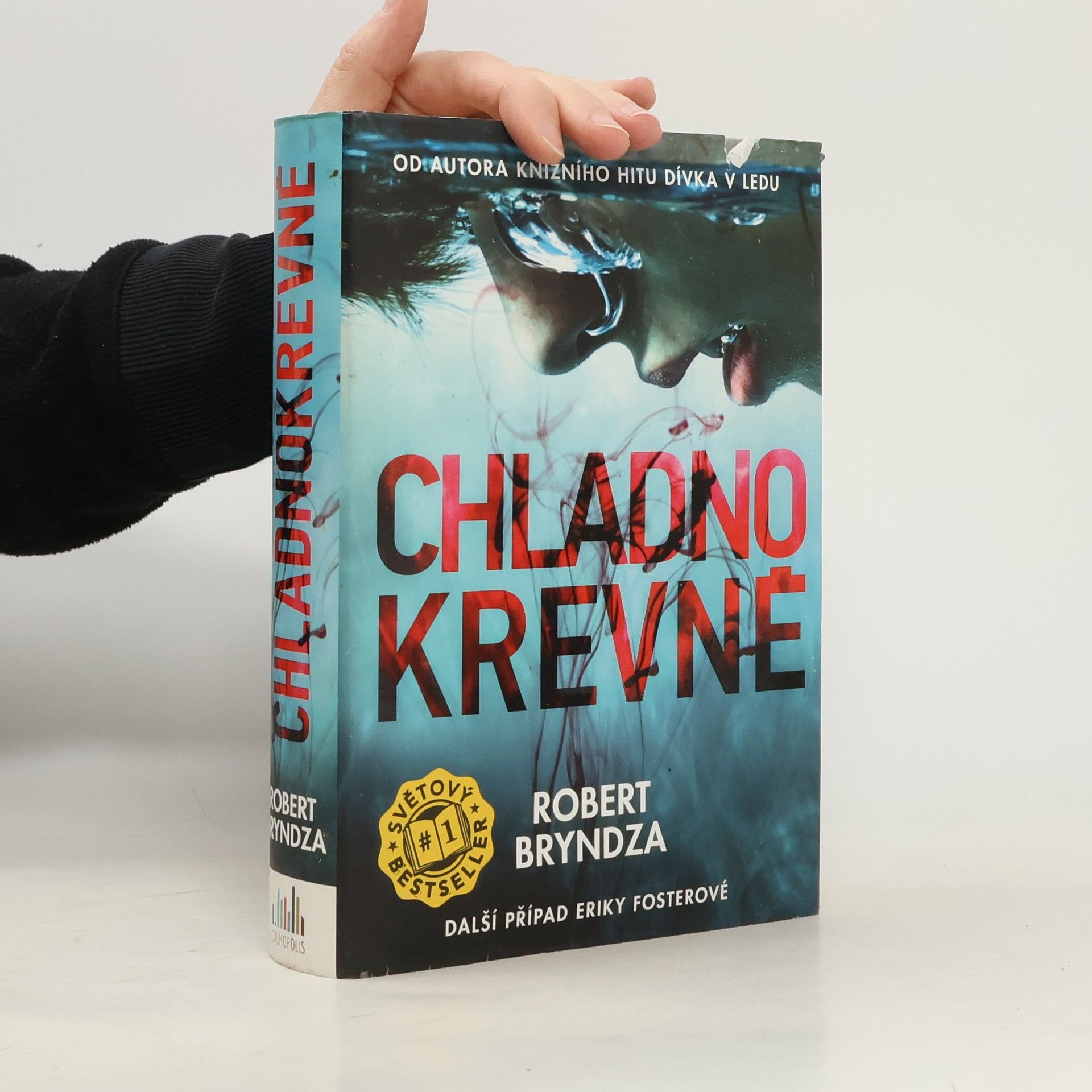 Robert Bryndza Chladnokrevně