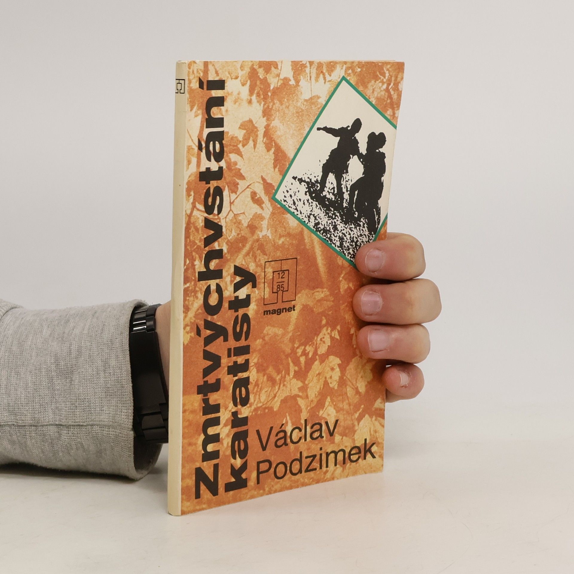 Zmrtvýchvstání karatisty