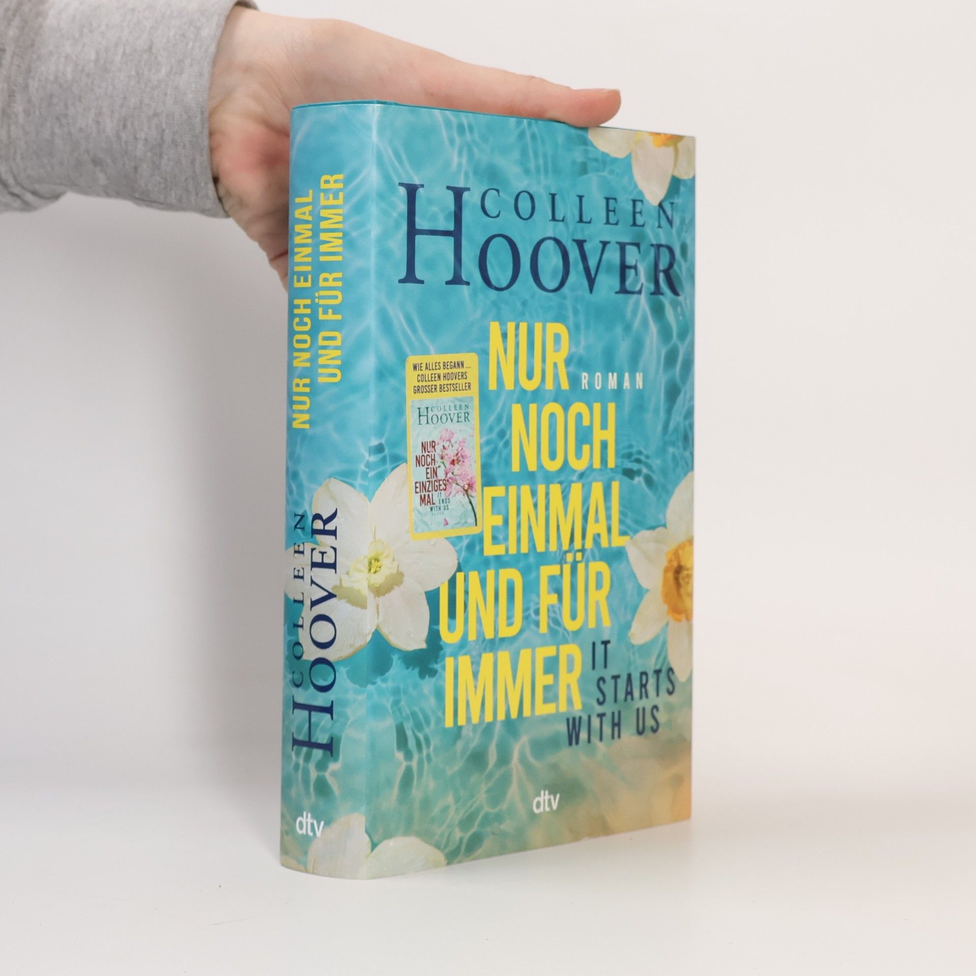 Colleen Hoover Nur noch einmal und für immer