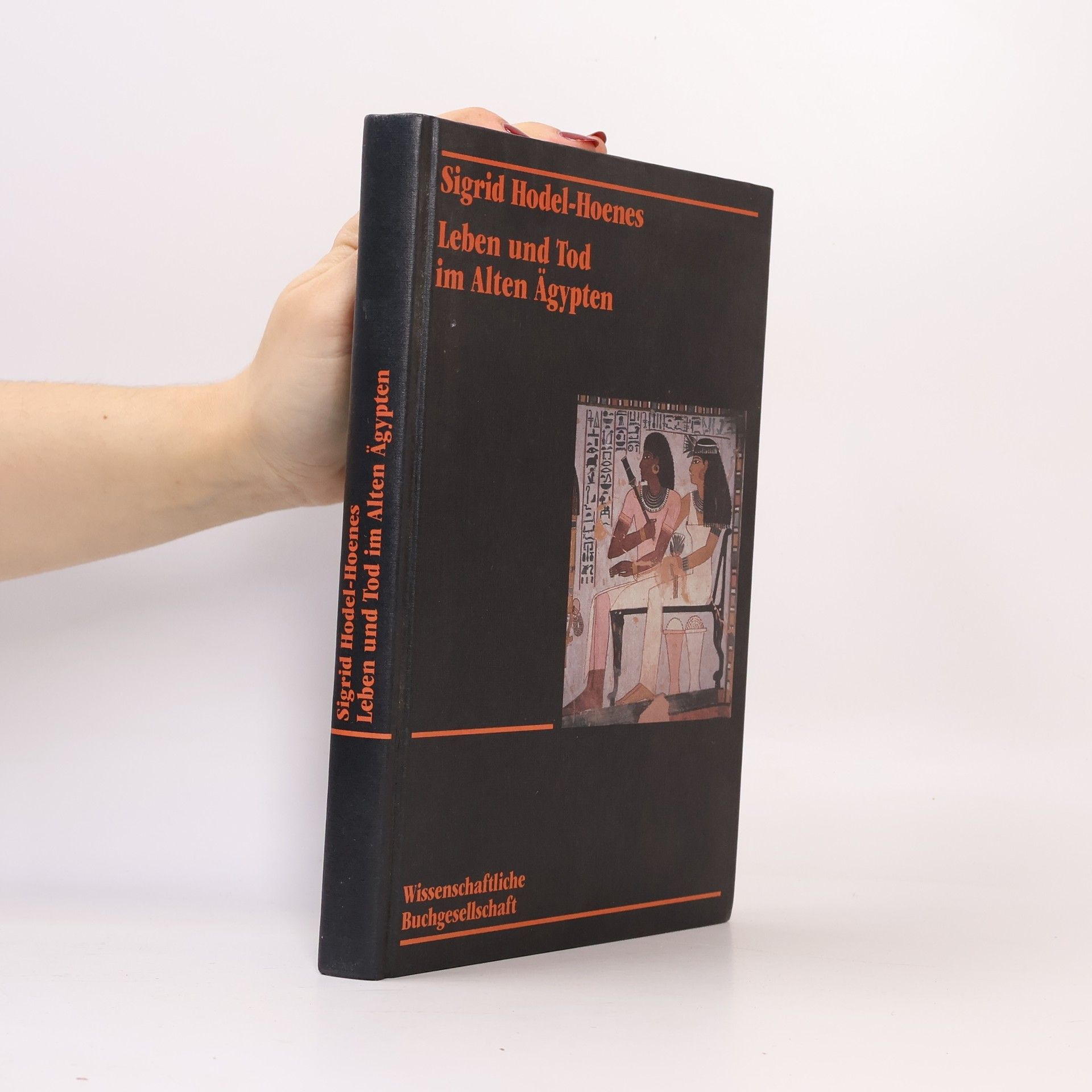 Sigrid Hodel-Hoenes Leben und Tod im Alten Ägypten