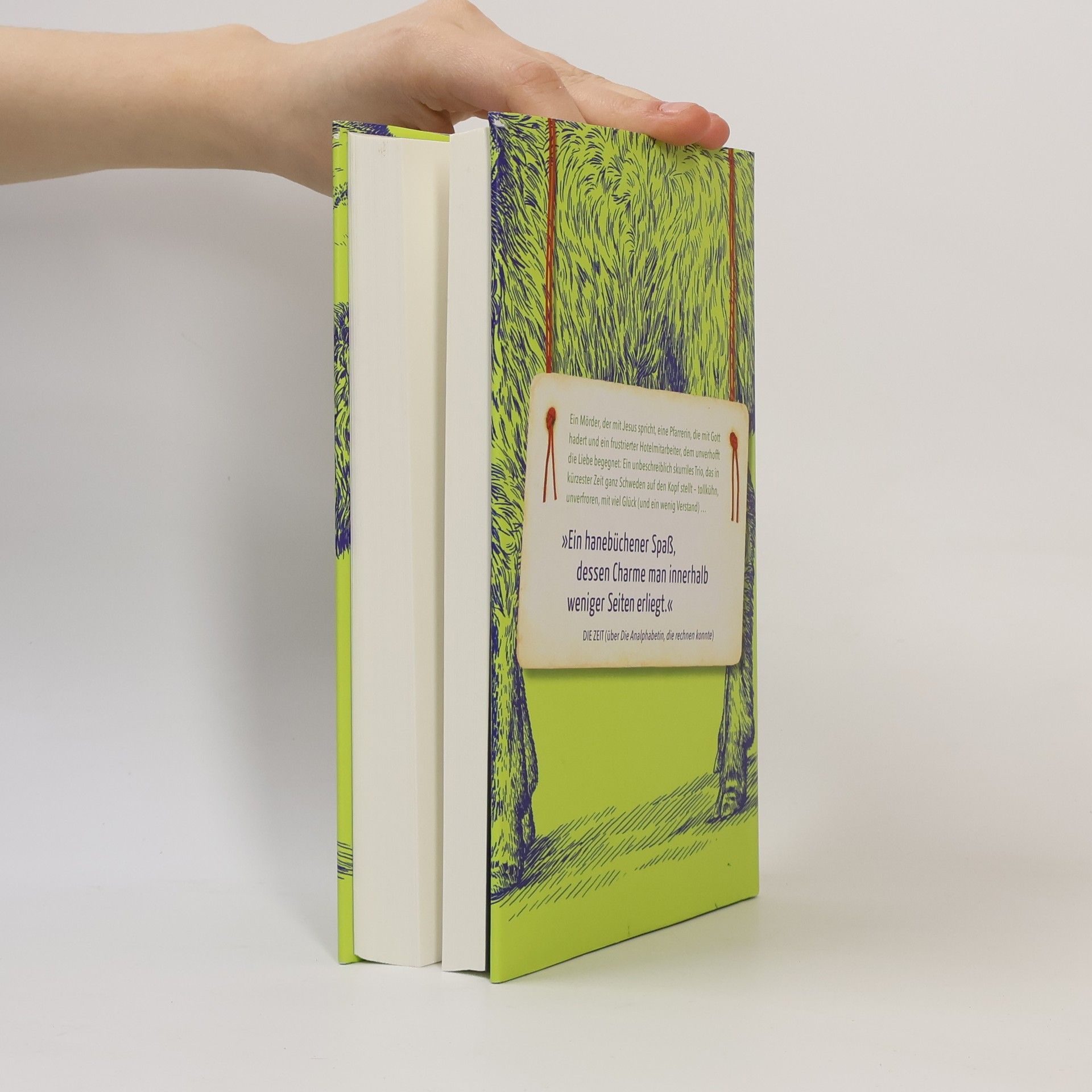 Jonas Jonasson Mörder Anders und seine Freunde nebst dem einen oder anderen Feind
