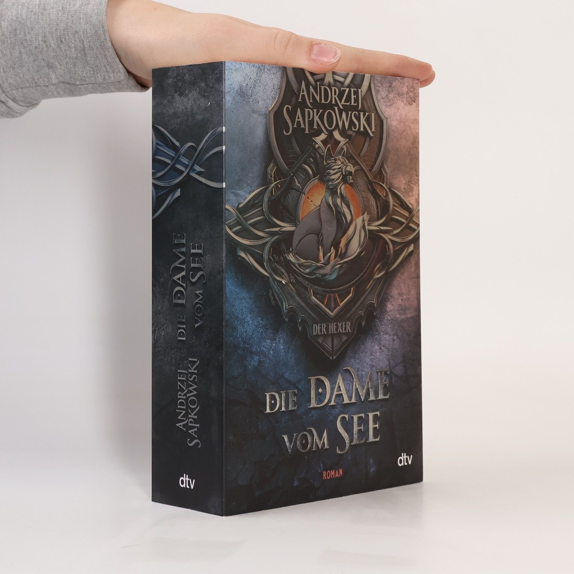 Andrzej Sapkowski Die Dame vom See