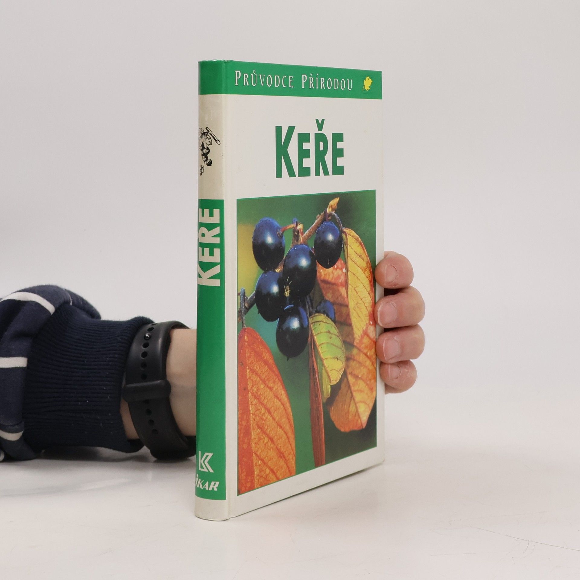 Markus Bolliger Keře