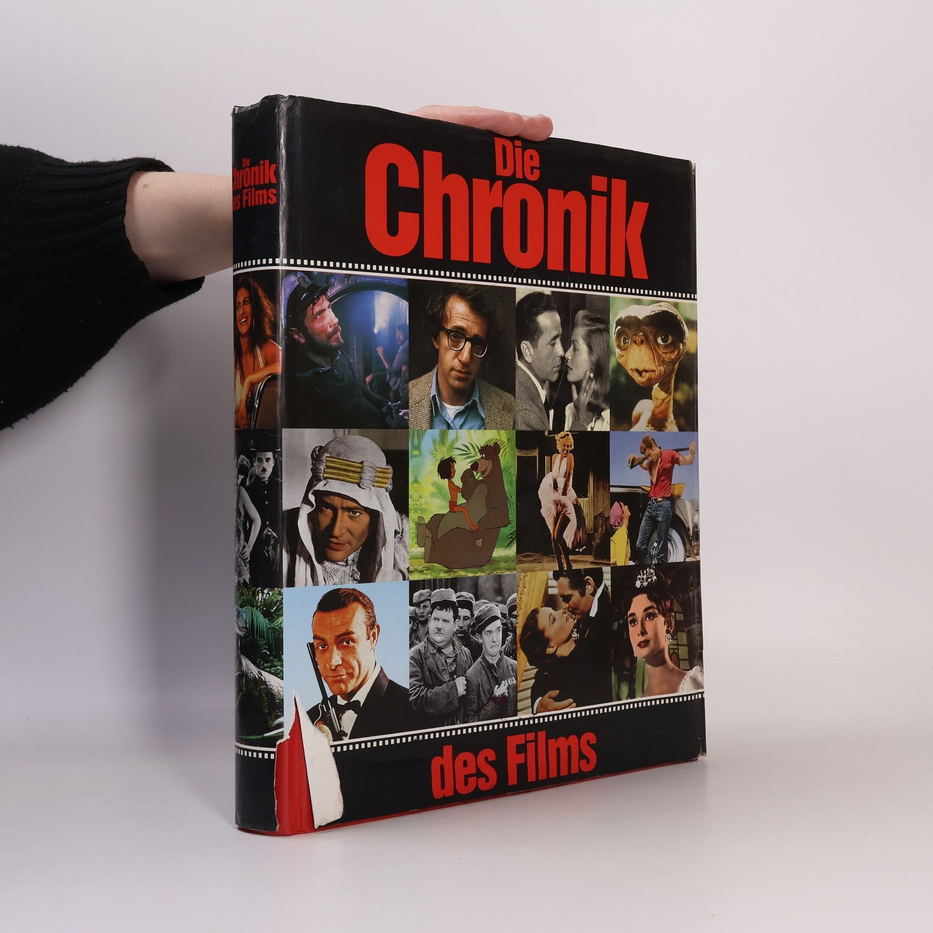 AA.VV. Die Chronik des Films