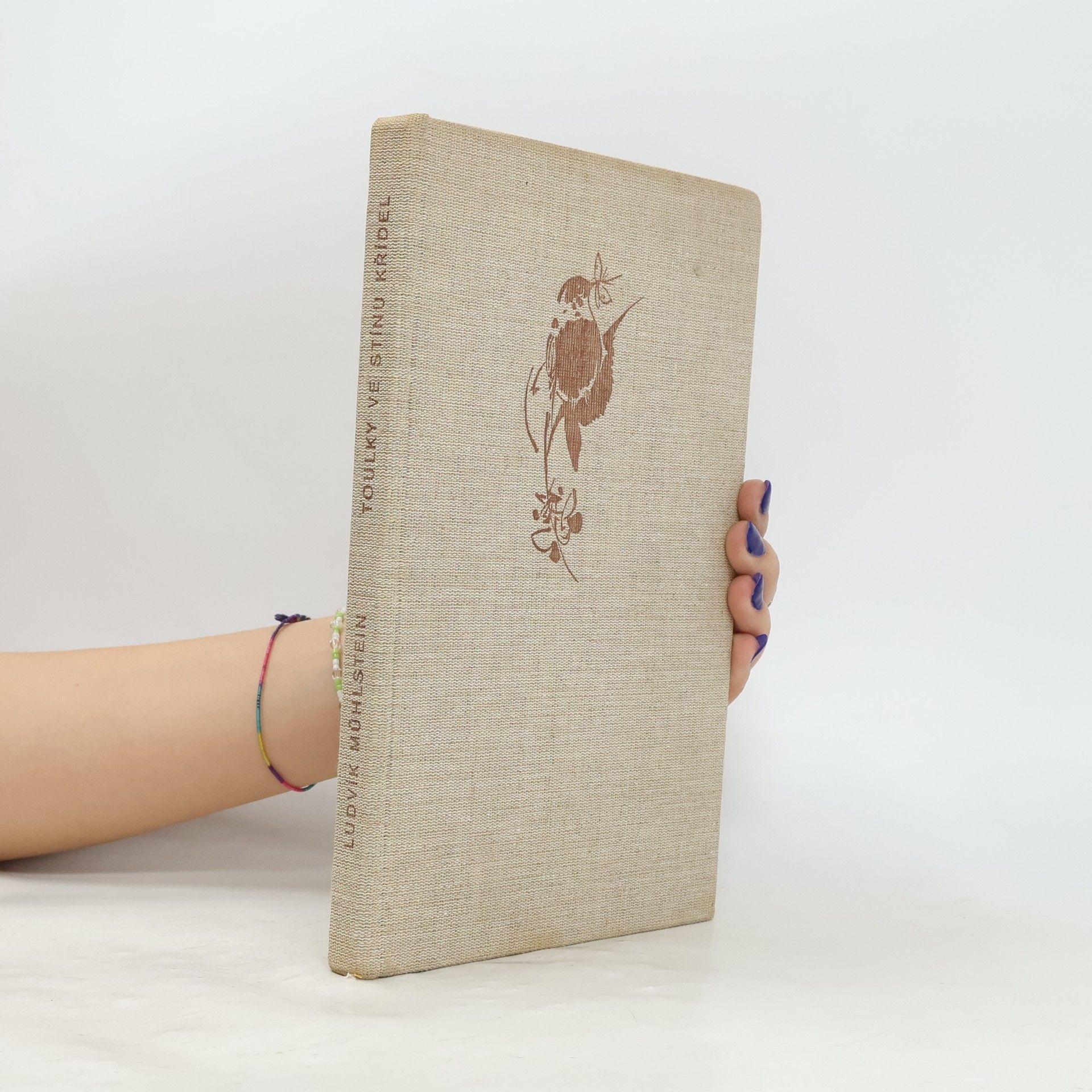 Ludvík Mühlstein Toulky ve stínu křídel