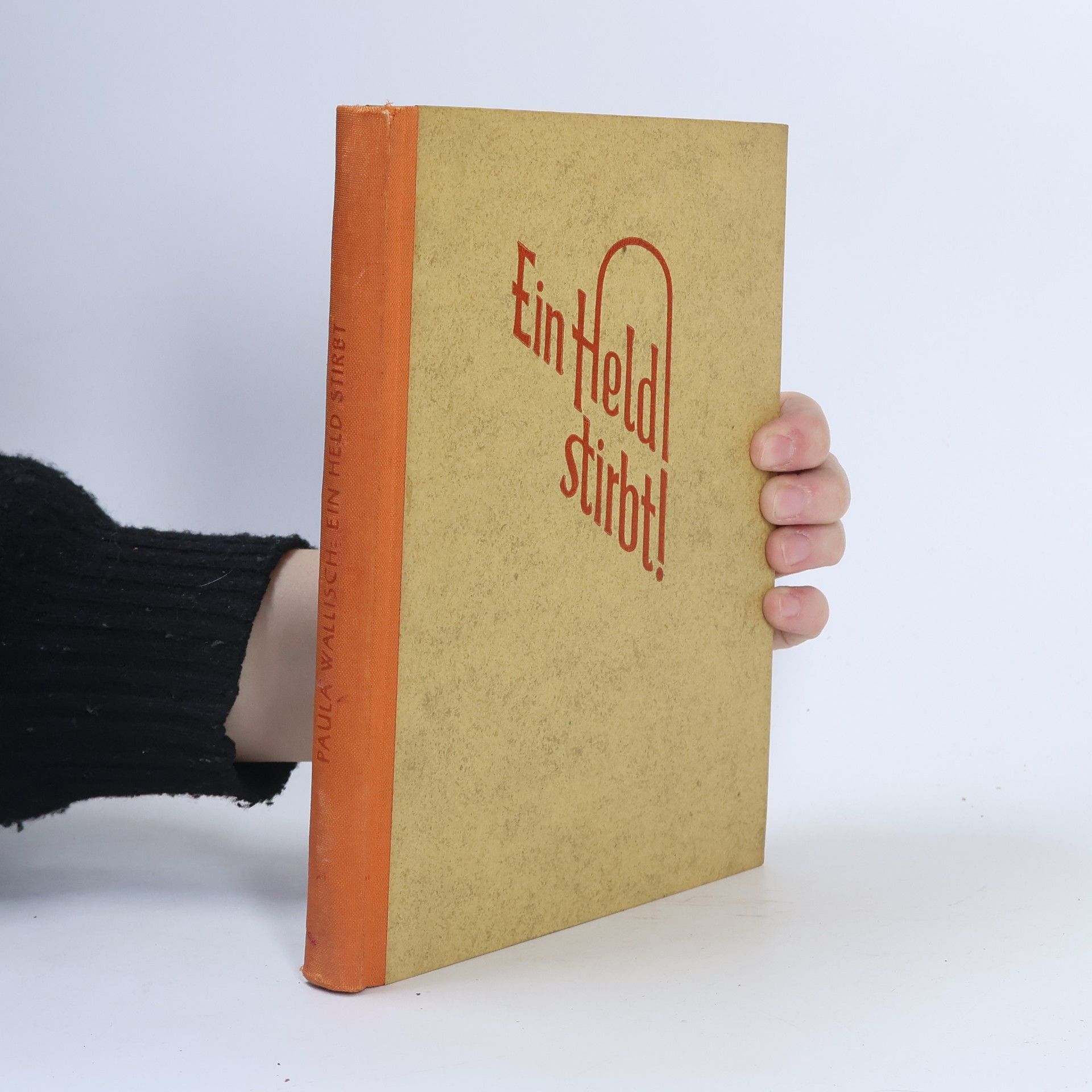 Paula Wallisch Ein Held stirbt!