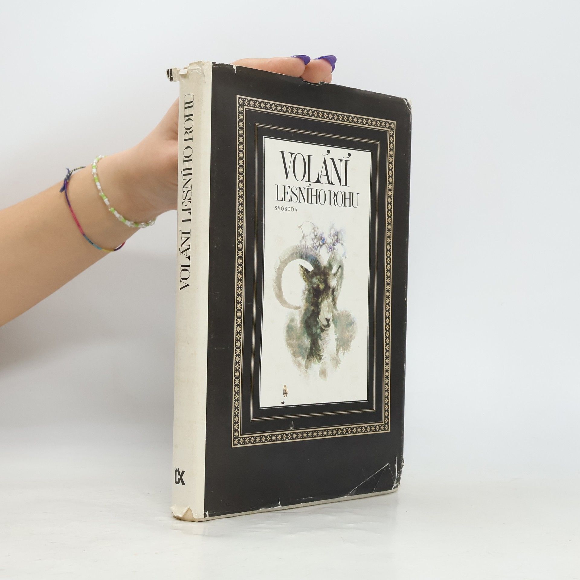 AA.VV. Volání lesního rohu