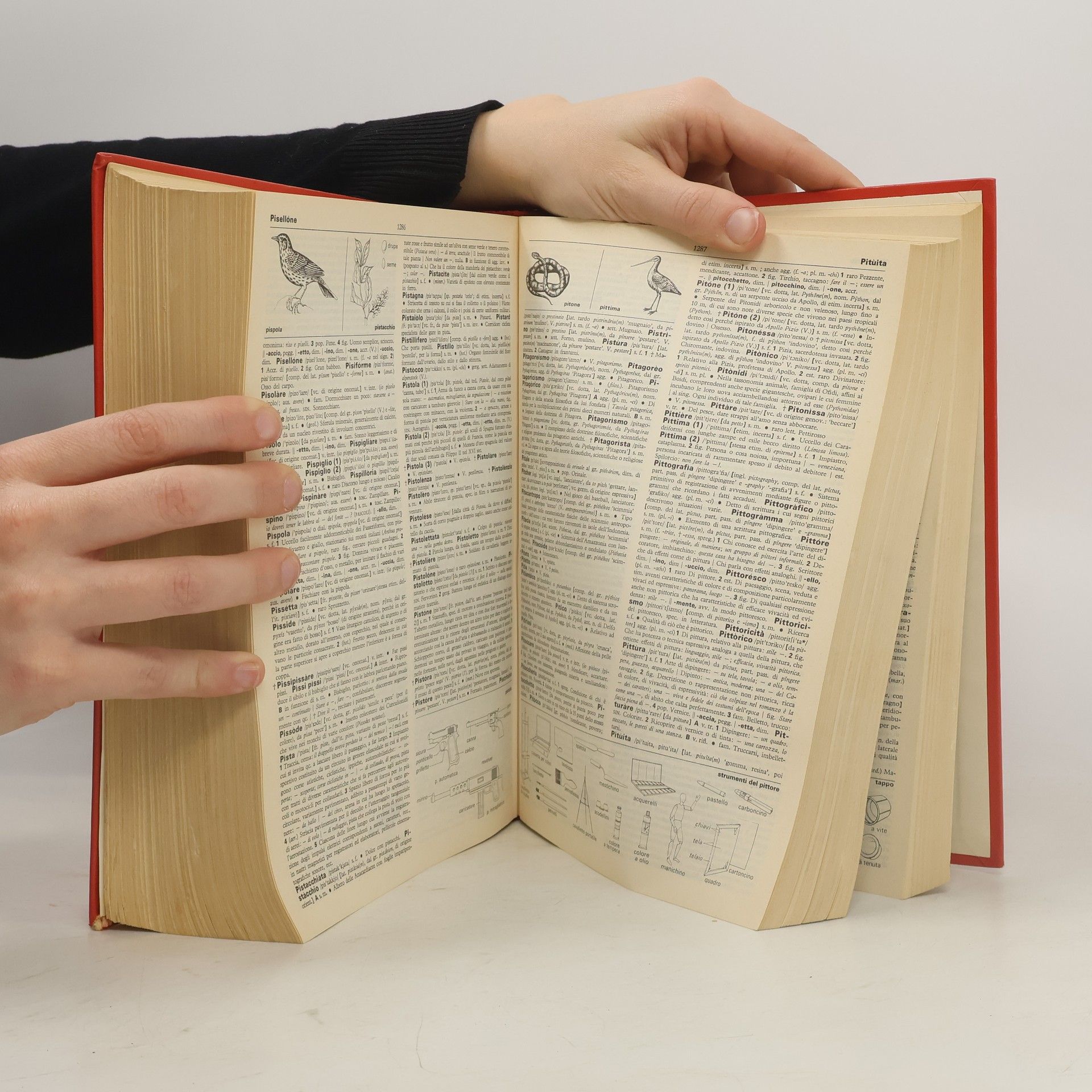 Nicola Zingarelli Vocabolario della lingua italiana