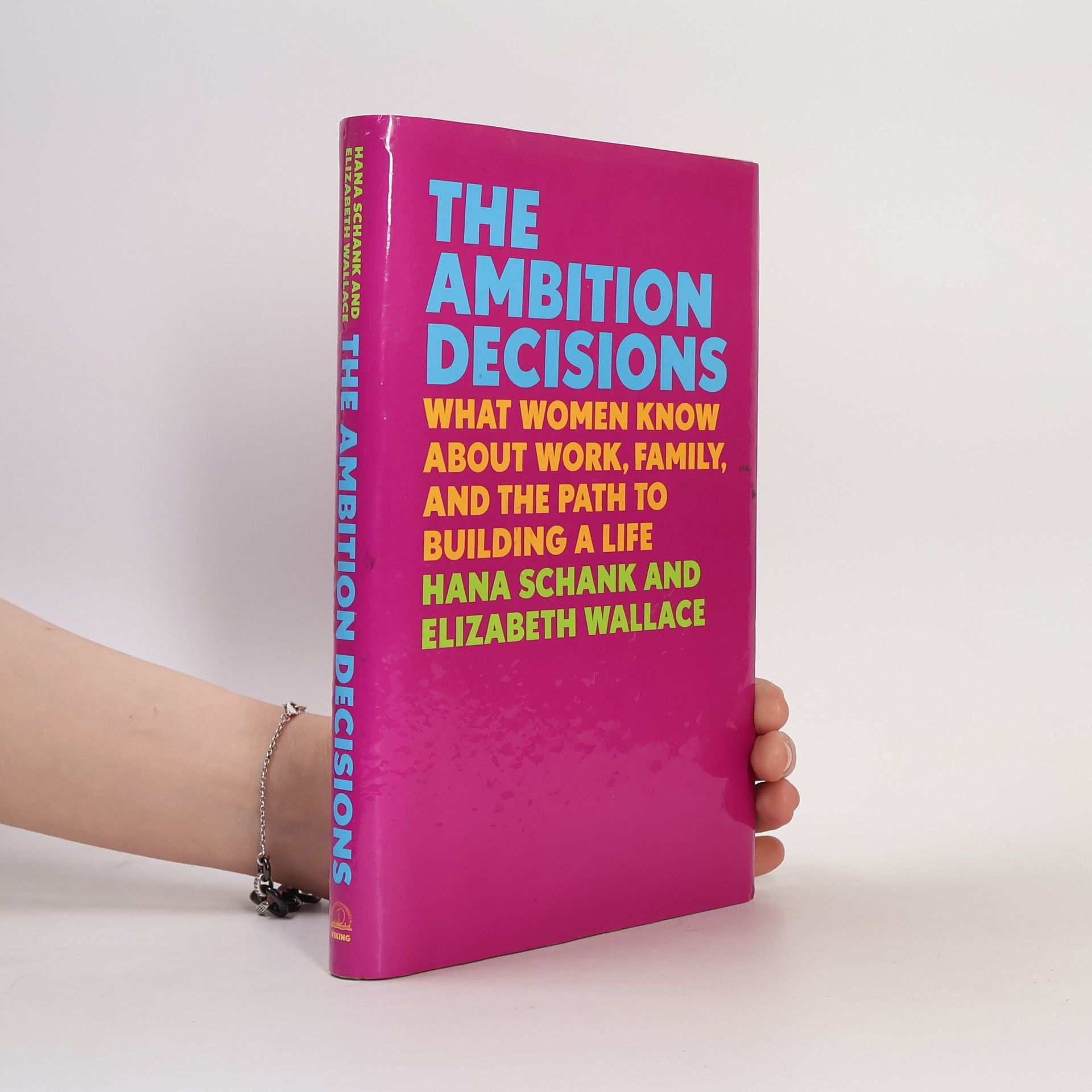 Hana Schank The Ambition Decisions