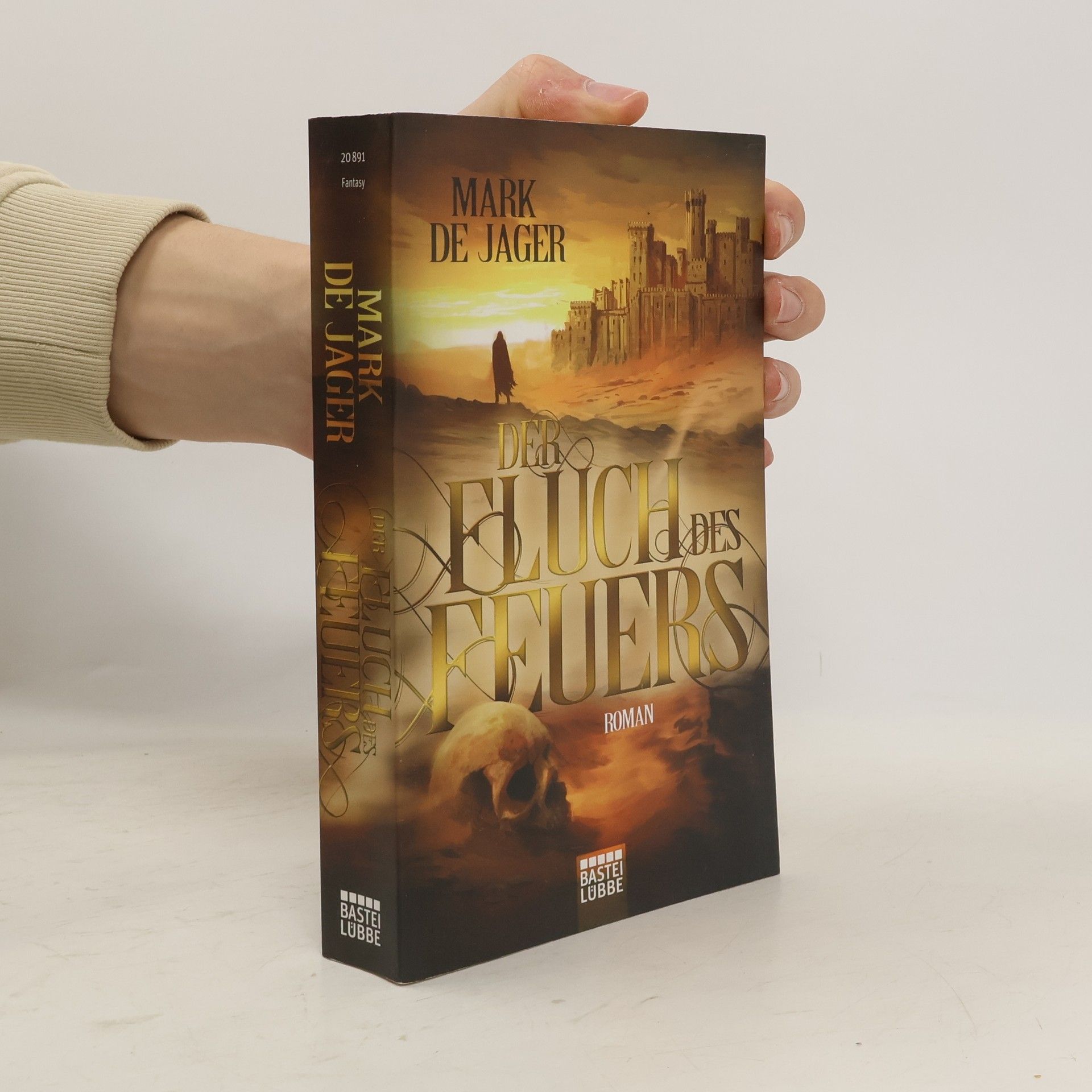 Mark de Jager Der Fluch des Feuers