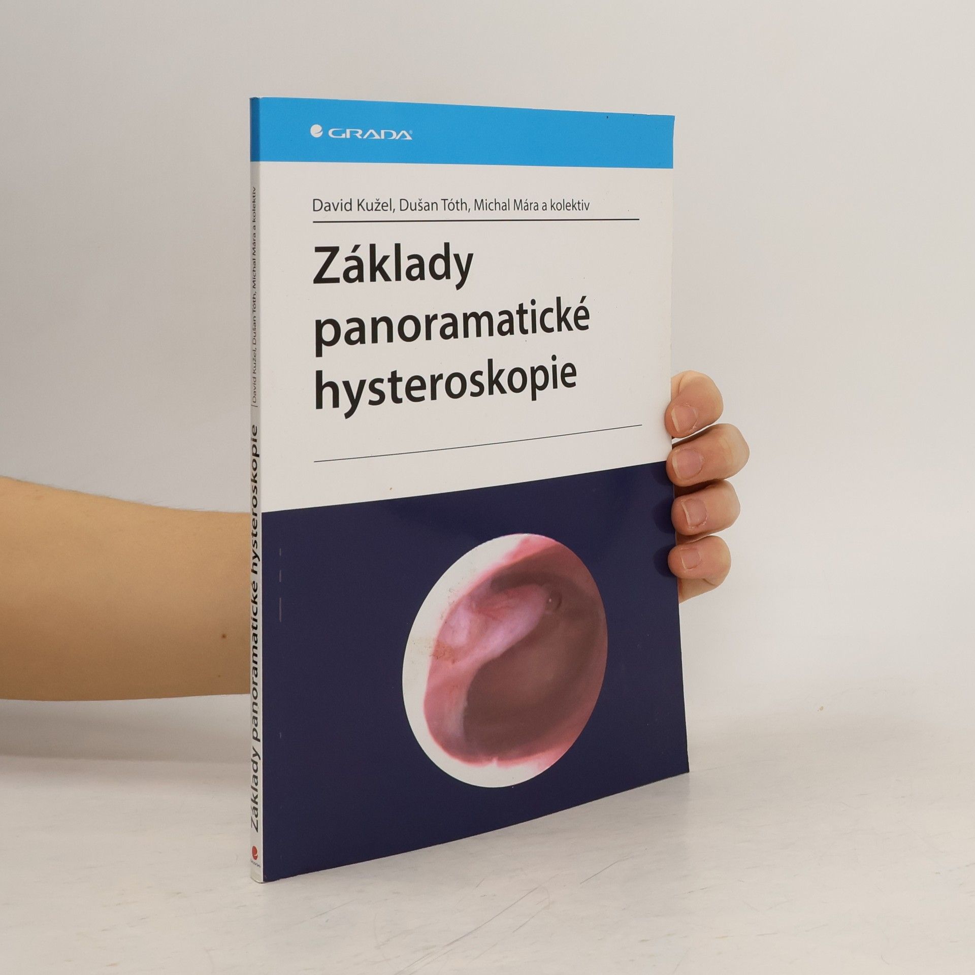 David Kužel Základy panoramatické hysteroskopie
