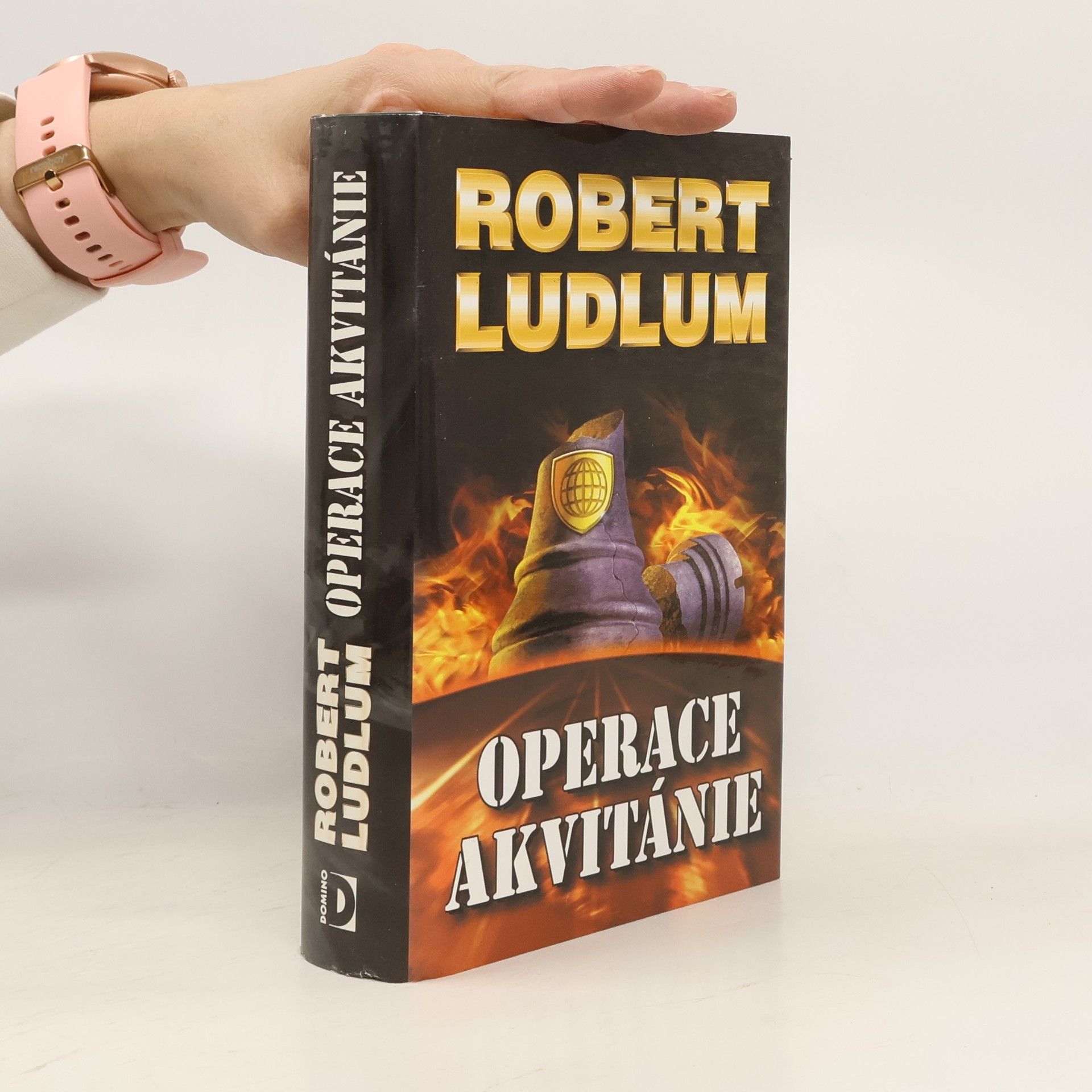 Robert Ludlum Operace Akvitánie