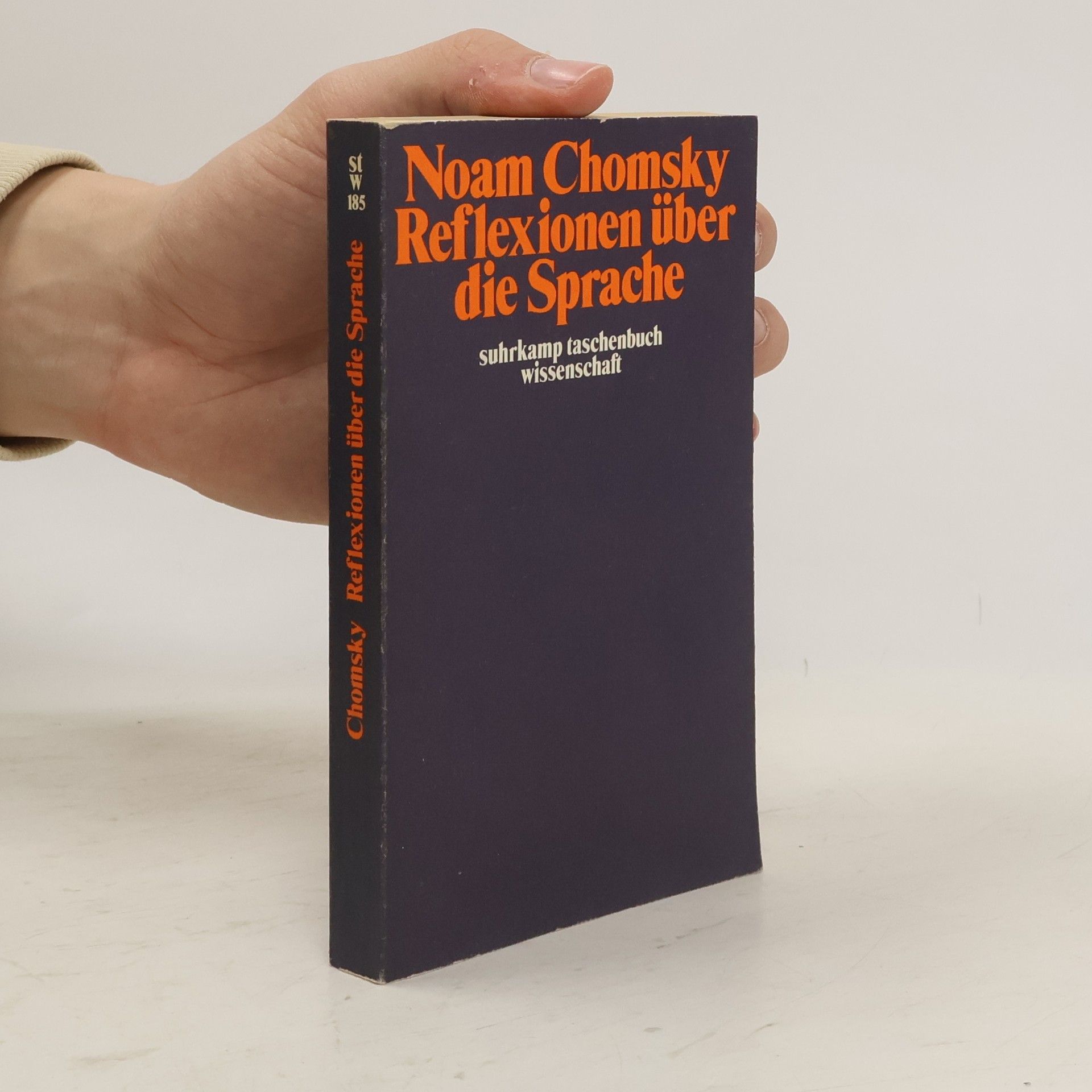 Noam Chomsky Reflexionen über die Sprache