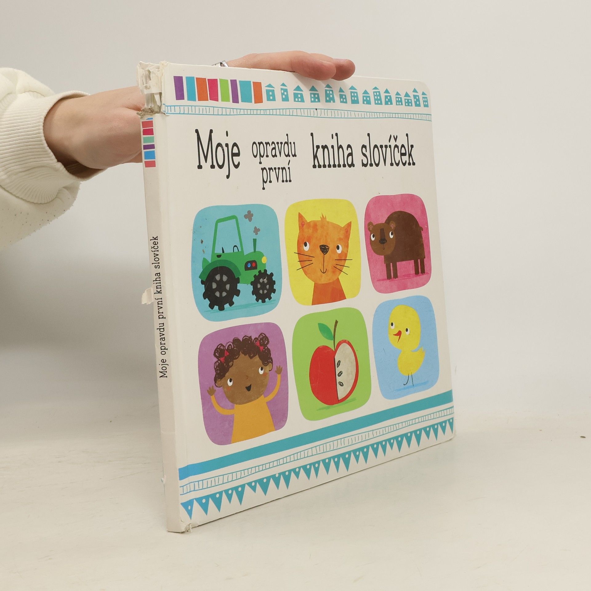 Sarah Vince Moje opravdu první kniha slovíček
