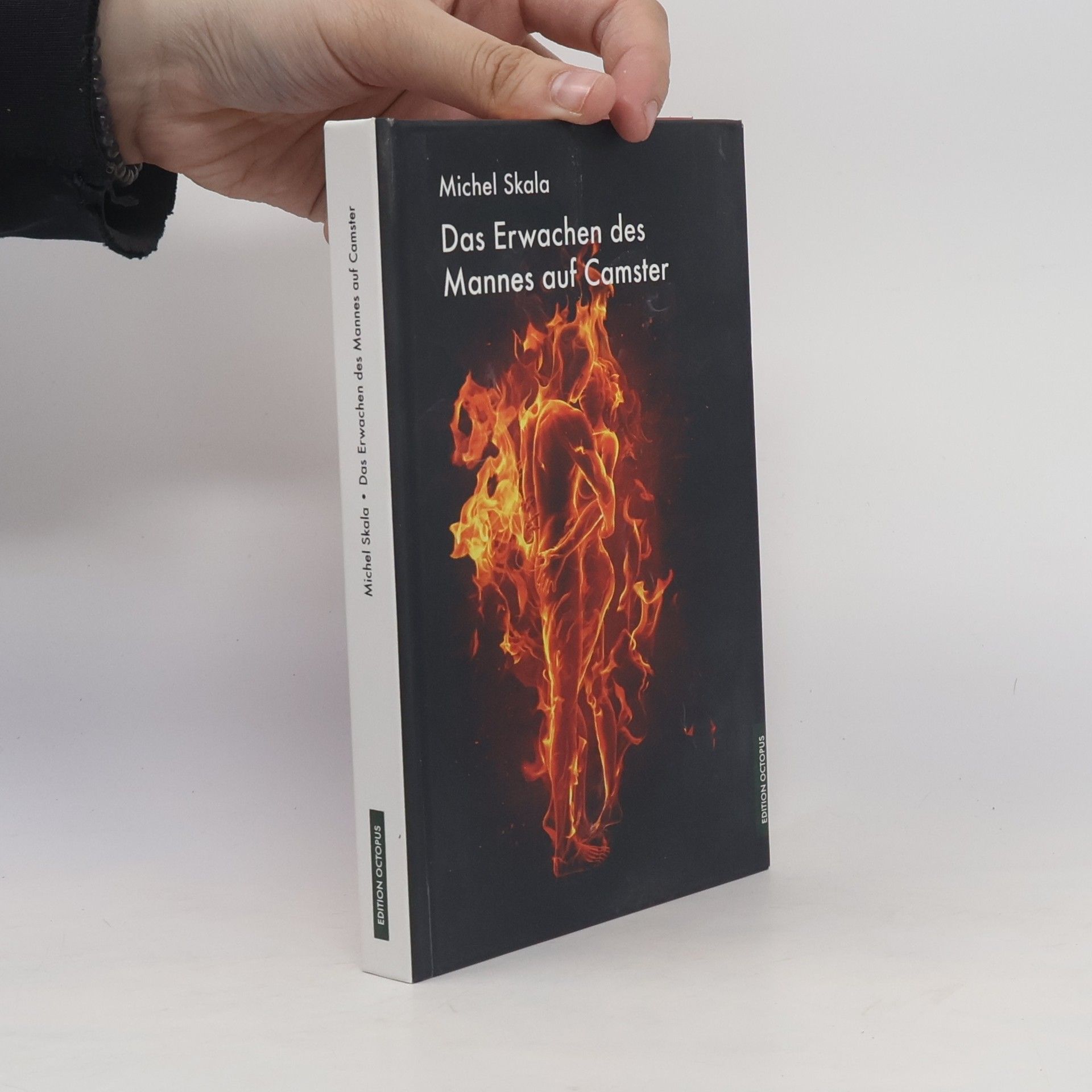 Michel Skala Das Erwachen des Mannes auf Camster