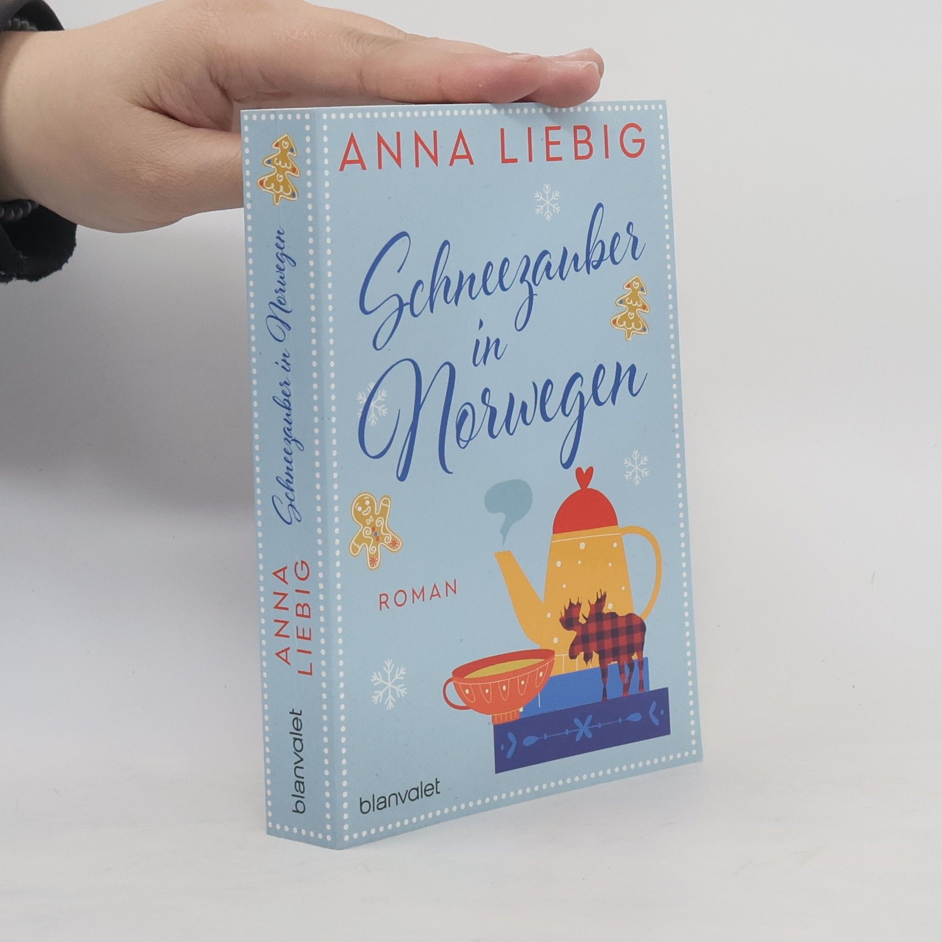 Anna Liebig Schneezauber in Norwegen