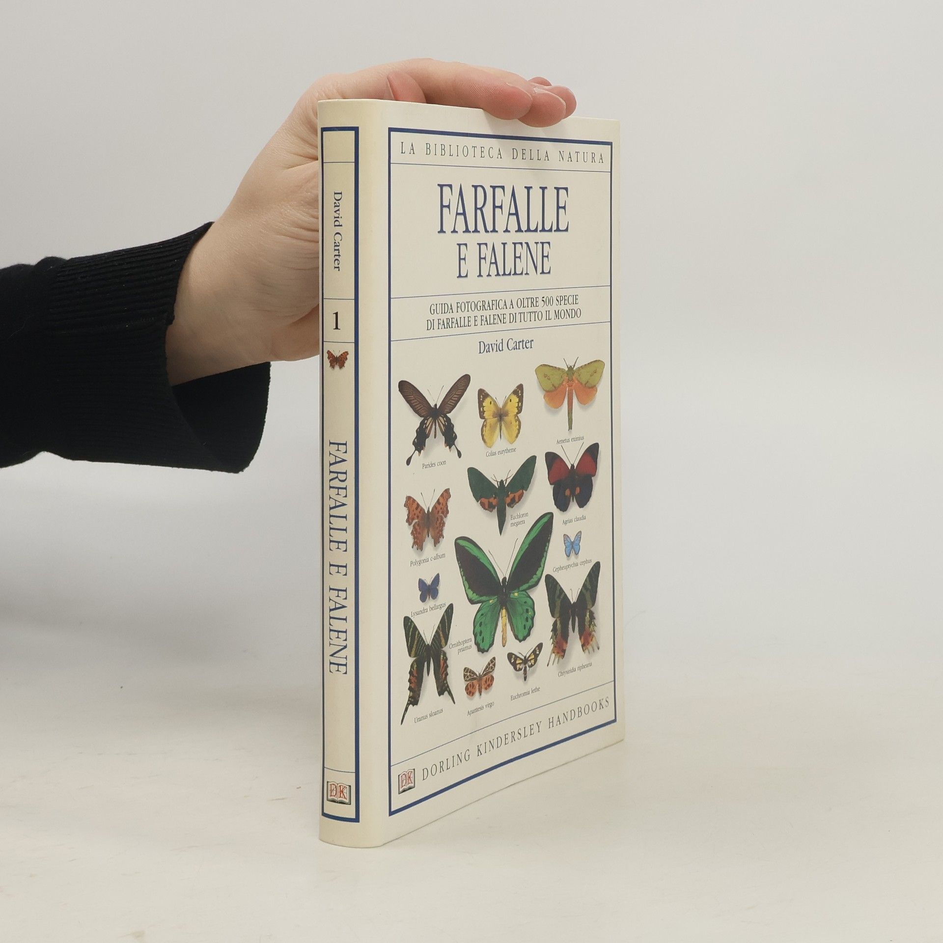 Andrea Sabbadini Farfalle e falene