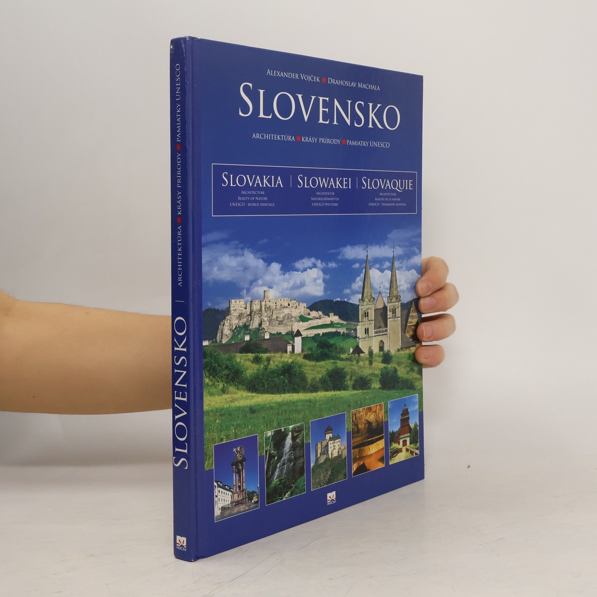 Alexander Vojček Slovensko