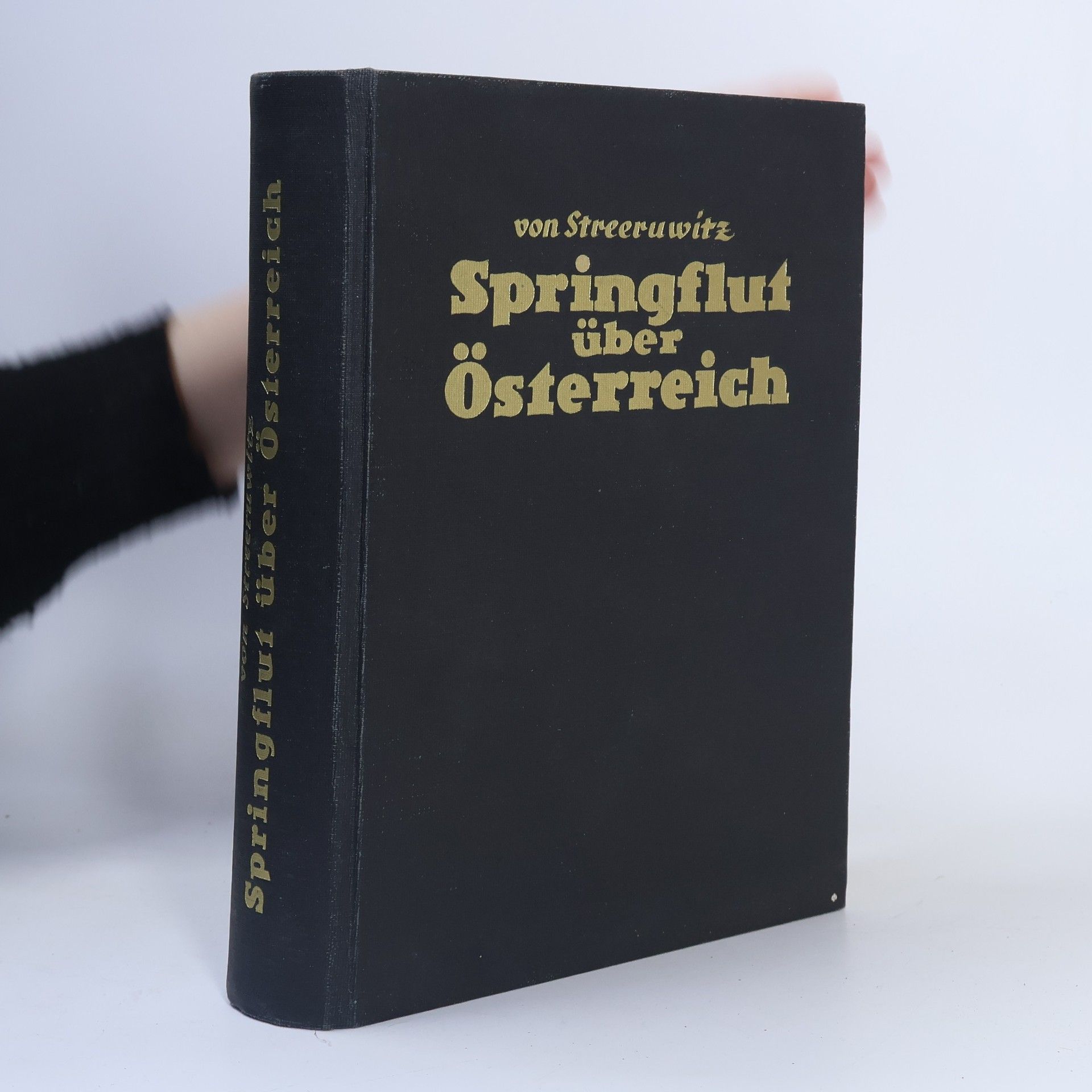 Ernst Streer von Streeruwitz Springflut über Österreich