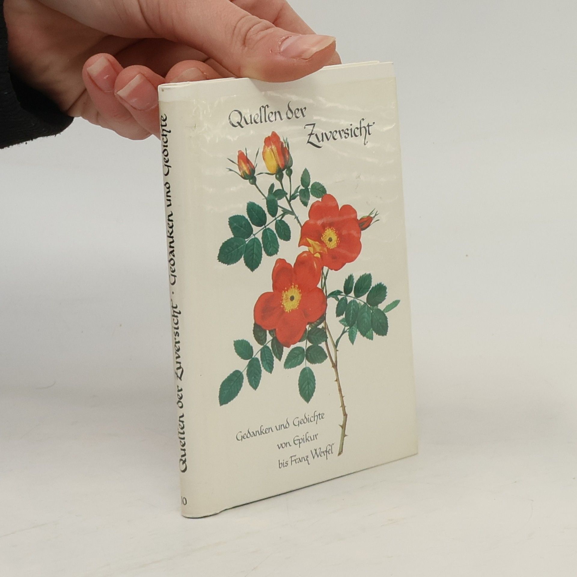 Eugen Hettinger Quellen der Zuversicht