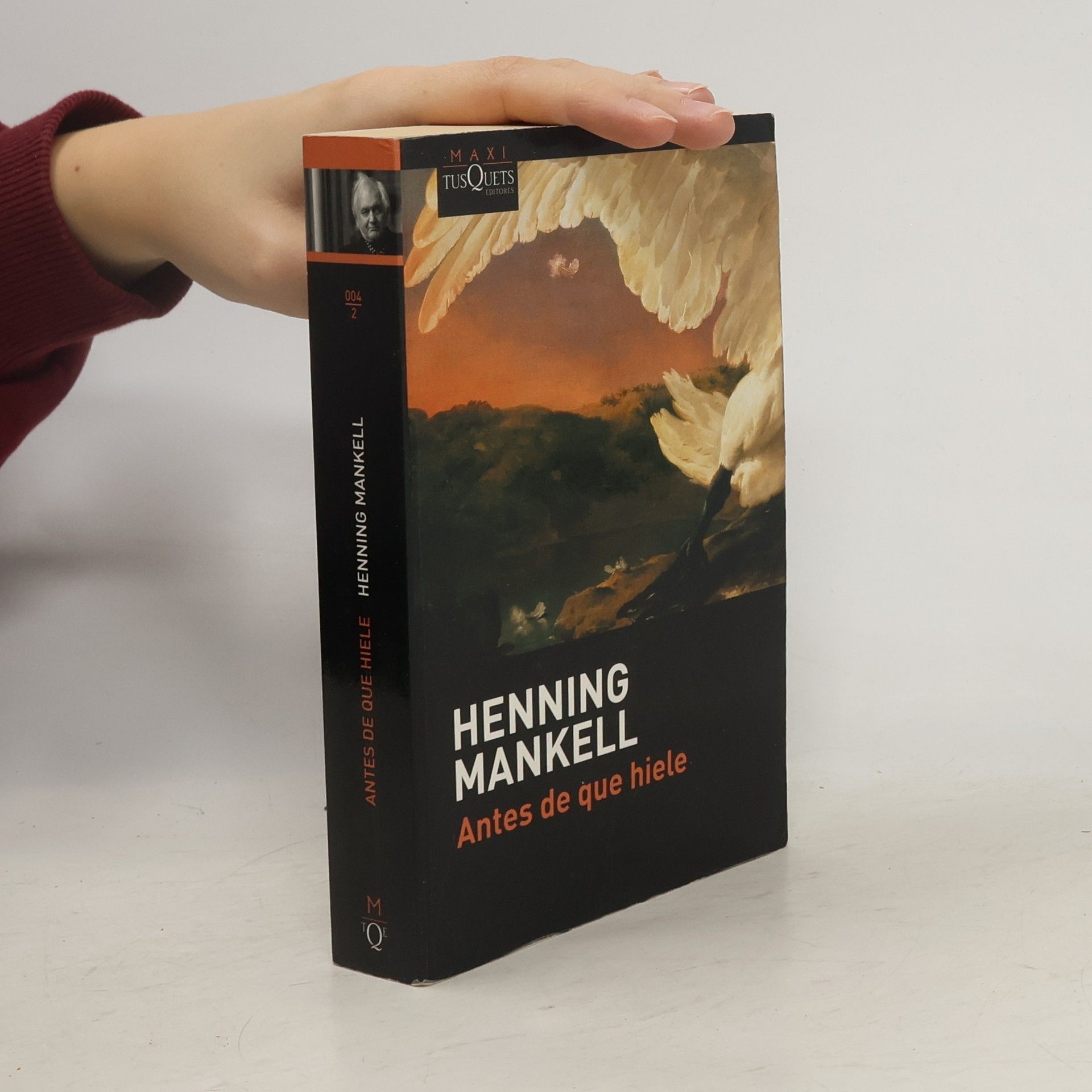 Maxi: Antes de que hiele