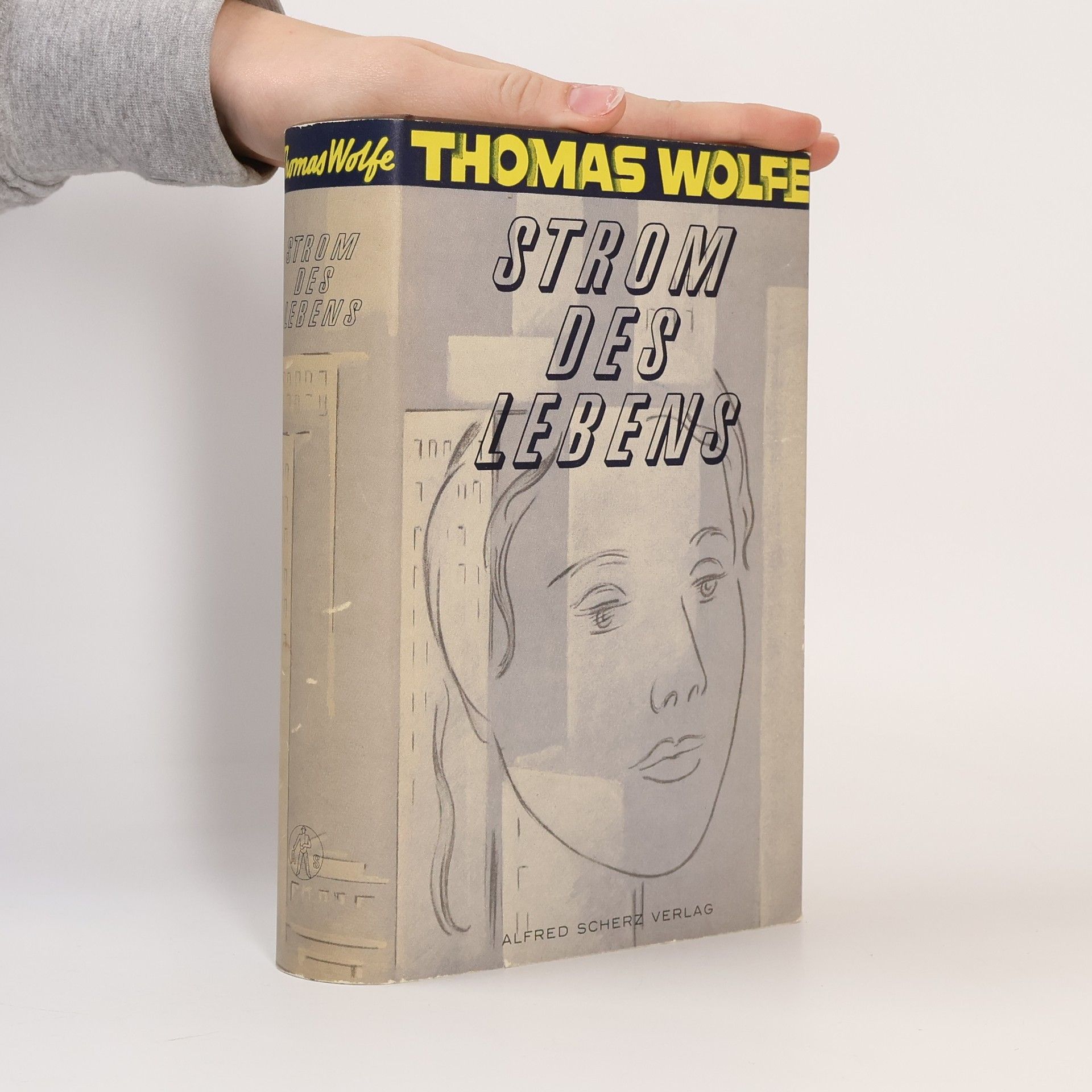 Thomas Wolfe Strom des Lebens