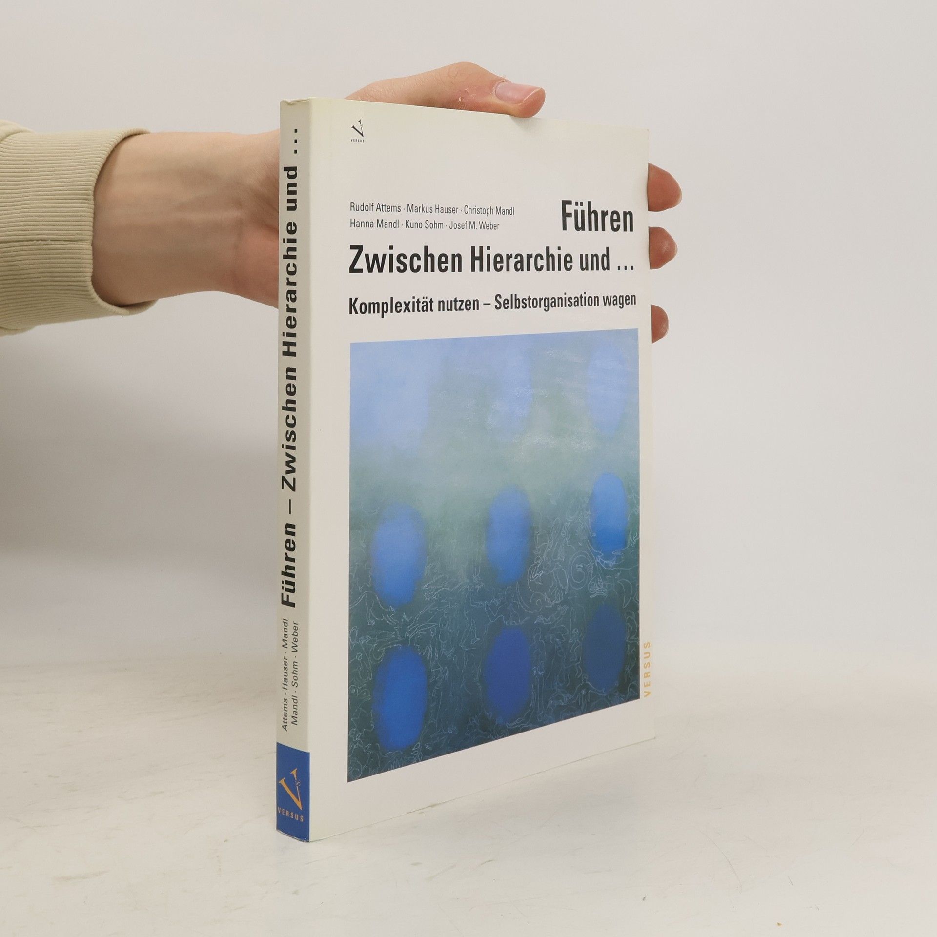 Rudolf Attems Führen - zwischen Hierarchie und ...