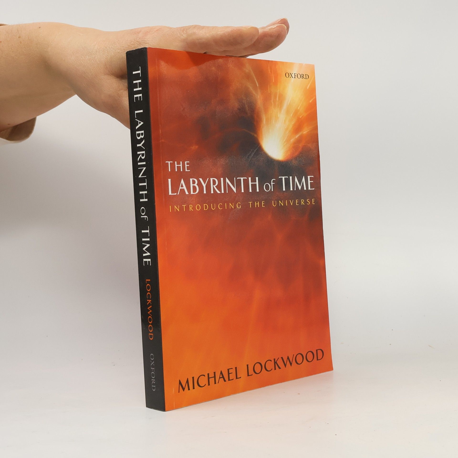Michael Lockwood The Labyrinth of Time