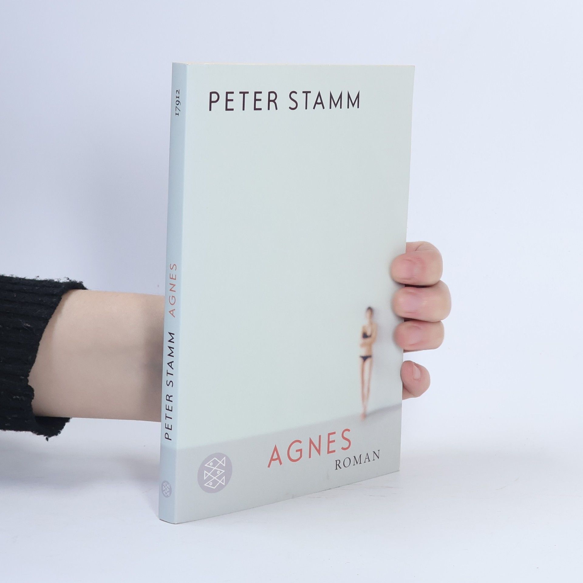 Peter Stamm Agnes
