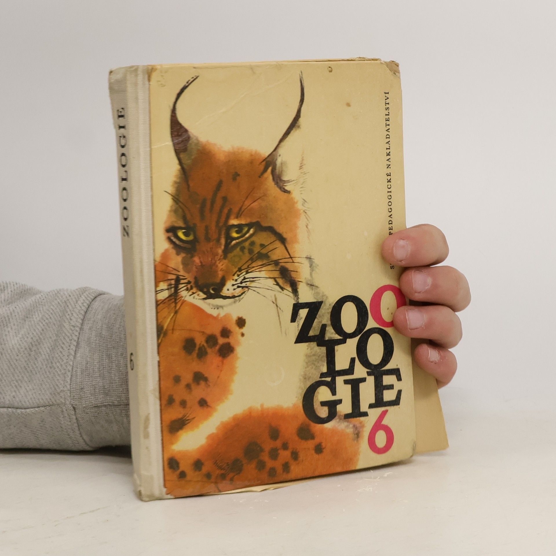 Jindřich Roubal Zoologie 6